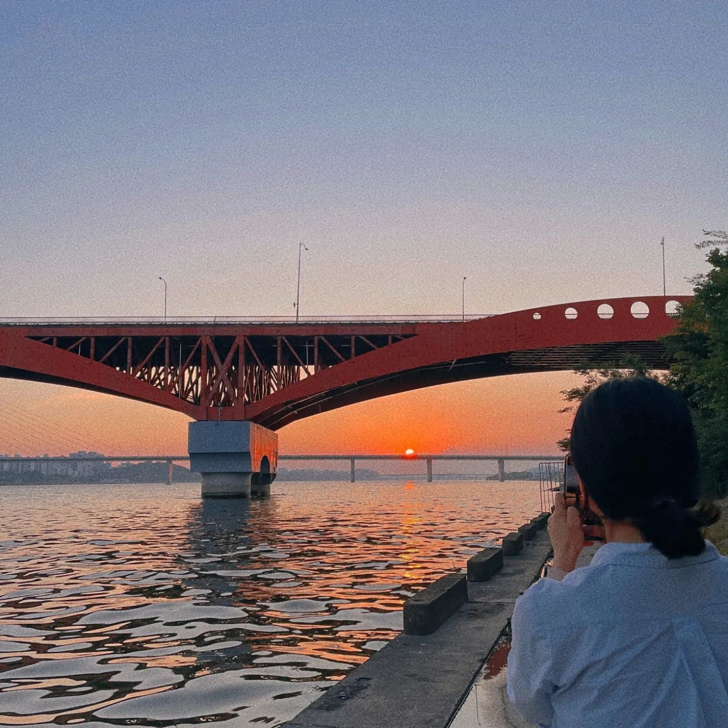 🌆 🌇 🌆 

여름이 좋은 이유는 퇴근하고도 해를 볼 수 있어서이지

최근 최애 사진들 기록 남기기

#노을 #망원한강공원 #한강 
지금 집에서 가장 좋아하는 부분은
😎누워서 노을 보기 가넝
🌿여름 #출근길 초록초록 길 최애
+엘레베이터에서 만난 초 귀욤 #갱얼쥐
#Epik #vsco #vscocam