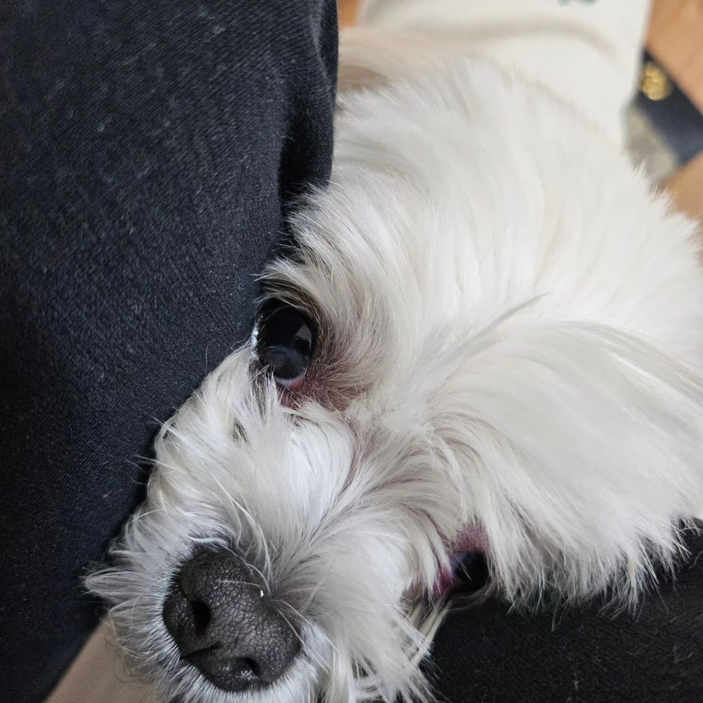 후..
제발 쫌 비키보자