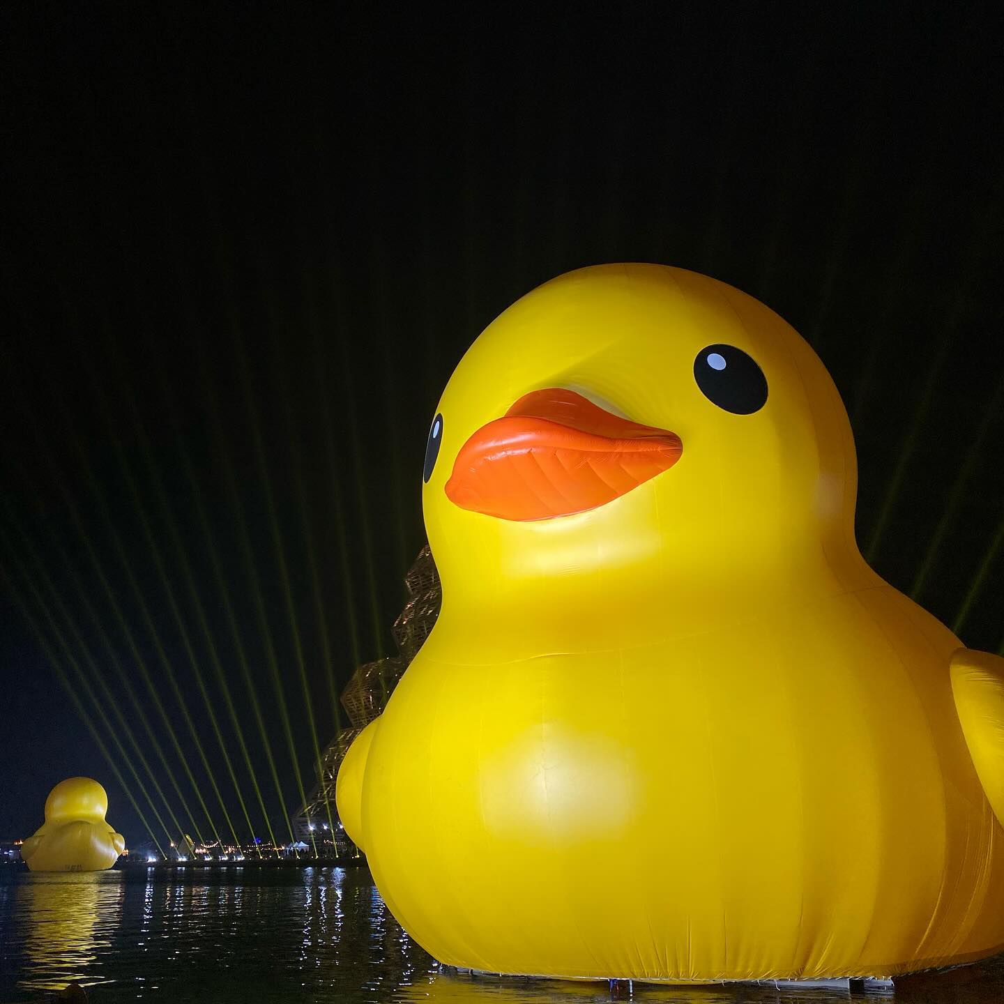 러버덕🐥🇹🇼
D+31