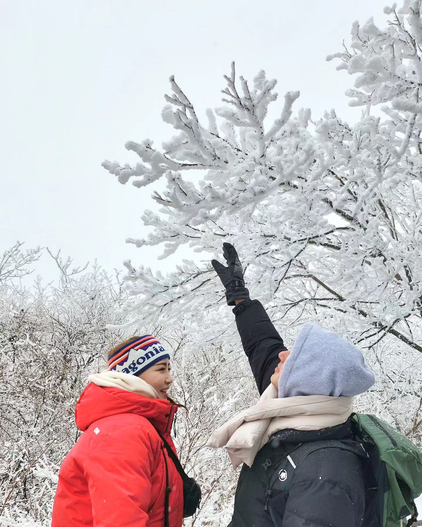 .

달달해 보이는 사진 투척 
현실은 전혀 그렇지 않은🤣

당직서고 아침에 퇴근한 남편 꽁꽁 싸매서
덕유산 데리고 온 마누라 어떤데🤣

#덕유산 #덕유산국립공원 #덕유산향적봉 #상고대 
#겨울산행 #겨울왕국 #등린이 #등산 #등산스타그램 
#등산복패션 #취미 #일상  #오등완 #산타는여자 #설산