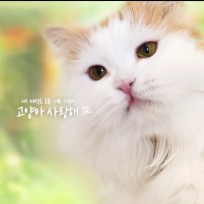 로별스럽게 : 네이버 블로그