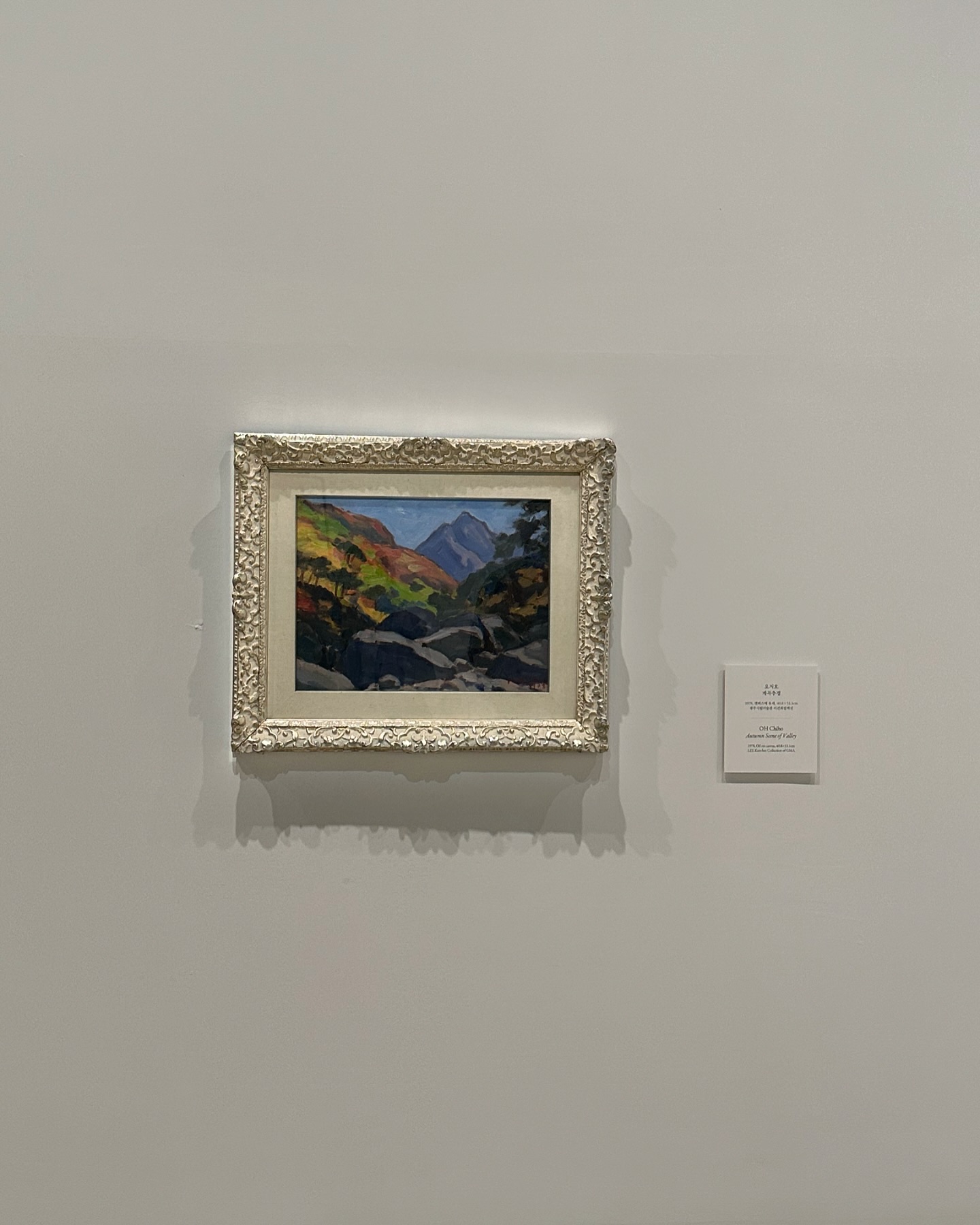 🖼️