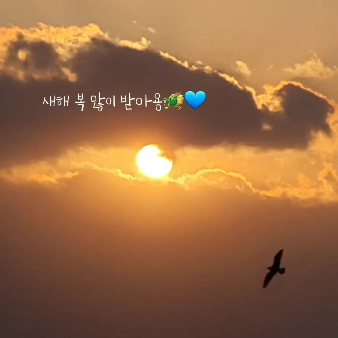 #우리엄마작품 #부산 #해돋이

새해 복 많이 받아용🐲💙
2024년에는 
더 좋은일만 생기길🎵

아프지망고 건강하자💜

ㅡ

#광주맘 #새해 #첫날 #2024년 #다둥이네