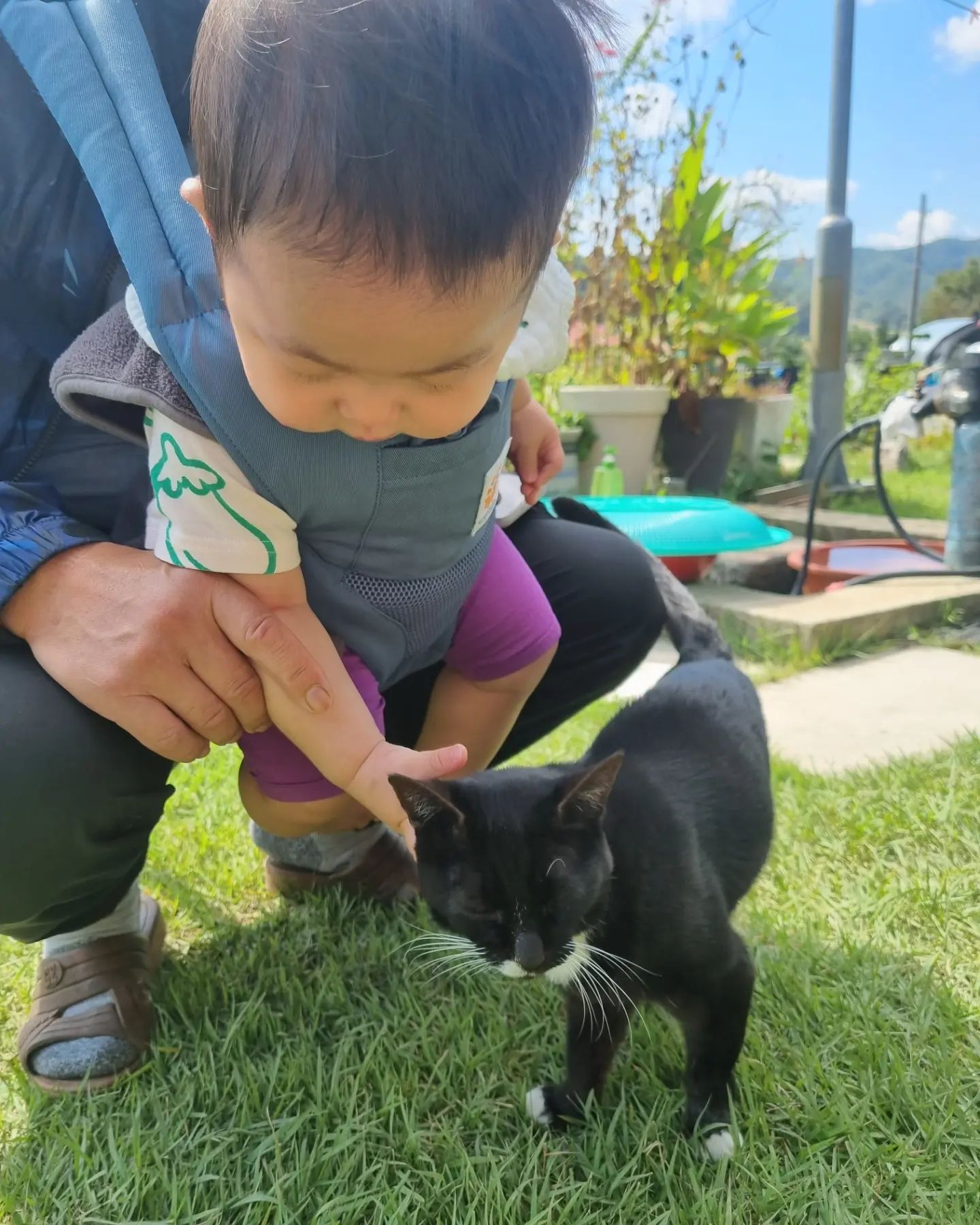 ❤️첫추석연휴❤️
친할머니네 외할머니네 장거리 이동에 고생한 우리 꿀별이 미안하고 고마워ㅠㅠ

책에서 보던 꼬양이도 만져보고 이제 강아지도 고양이도 무서워하지 않고 꺄르르 웃으면서 좋아하는 너가 많이 컷나 싶다 ㅎㅎ
외할아버지 포도밭도 구경하면서 마지막 남은 샤인머스켓도 같이 따왔지💜
작년 이맘때에 둘이서만 함께하는 마지막 단풍놀이라며 만삭인 배로 빨빨거리며 횡성호를 돌았는데 올해에는 꿀별이랑 함께 걷네!
따뜻한 햇살과 든든한 아빠등에 잠든 너를 보면서 뭔가 웅클해진건 엄마뿐일까!
내사랑 우리아들! 멋지고 건강하게 자라다오 서검사님🤩❣️

#육아일기 #아기랑등산 #고마워아들