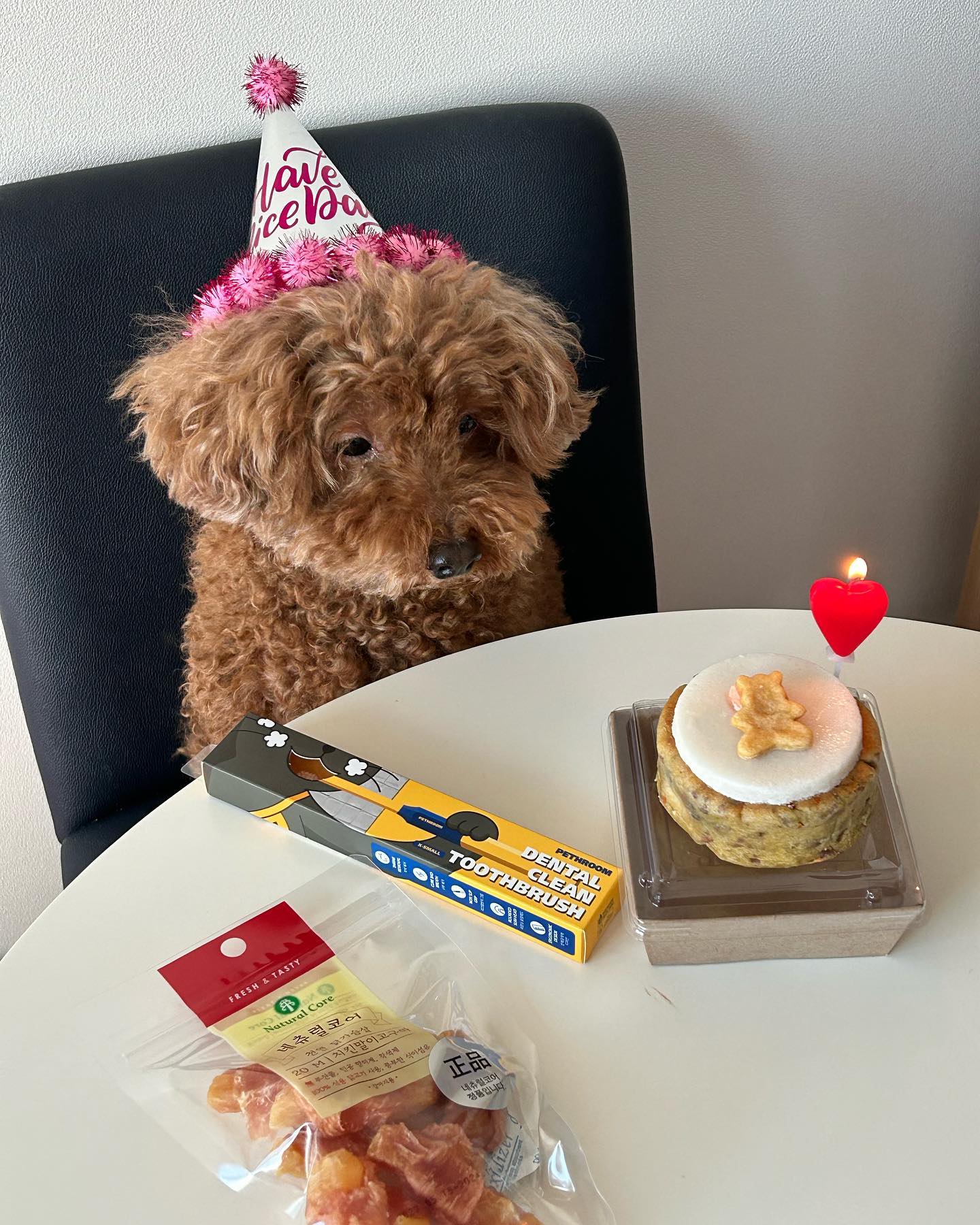 ⠀
탱이 10번째 생일축하해🐶🥳❤️