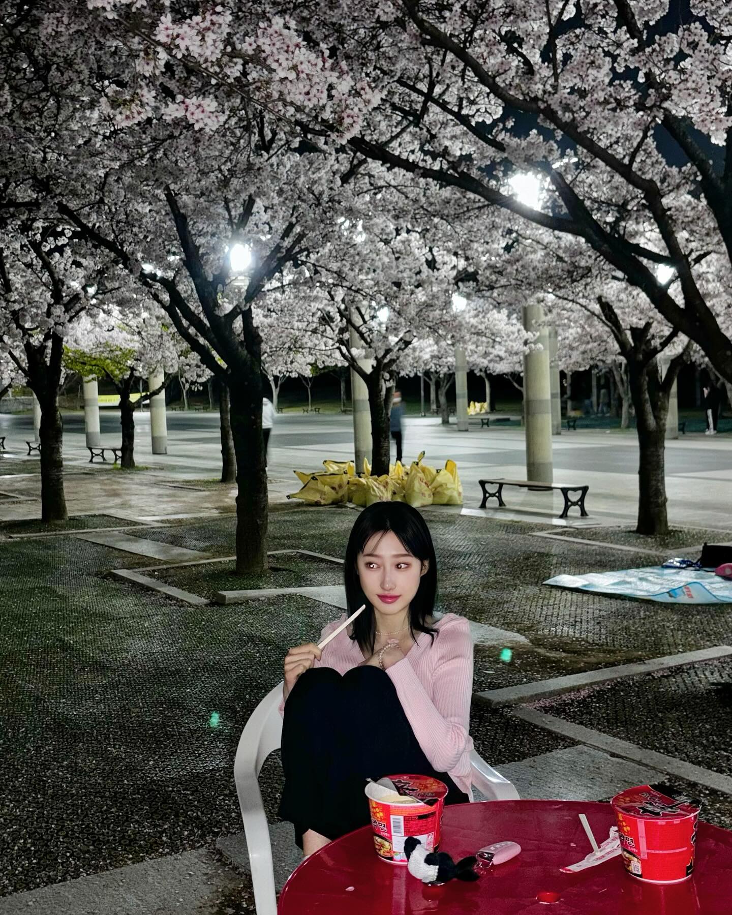 벚꽃막차 탑승완료 🌸