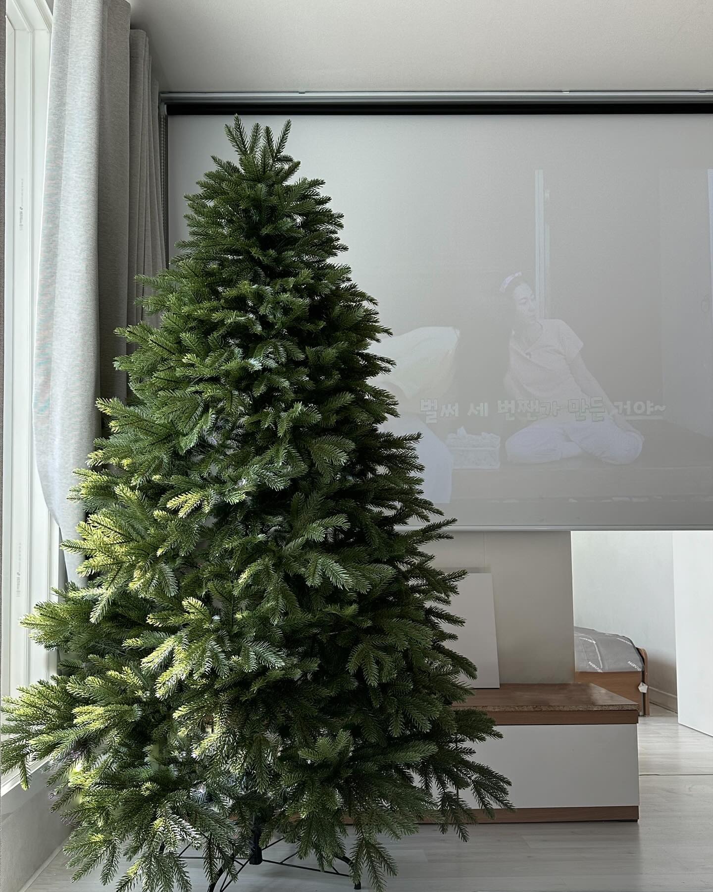 🎄ℂ𝕙𝕣𝕚𝕤𝕥𝕞𝕒𝕤 𝕥𝕣𝕖𝕖🎄