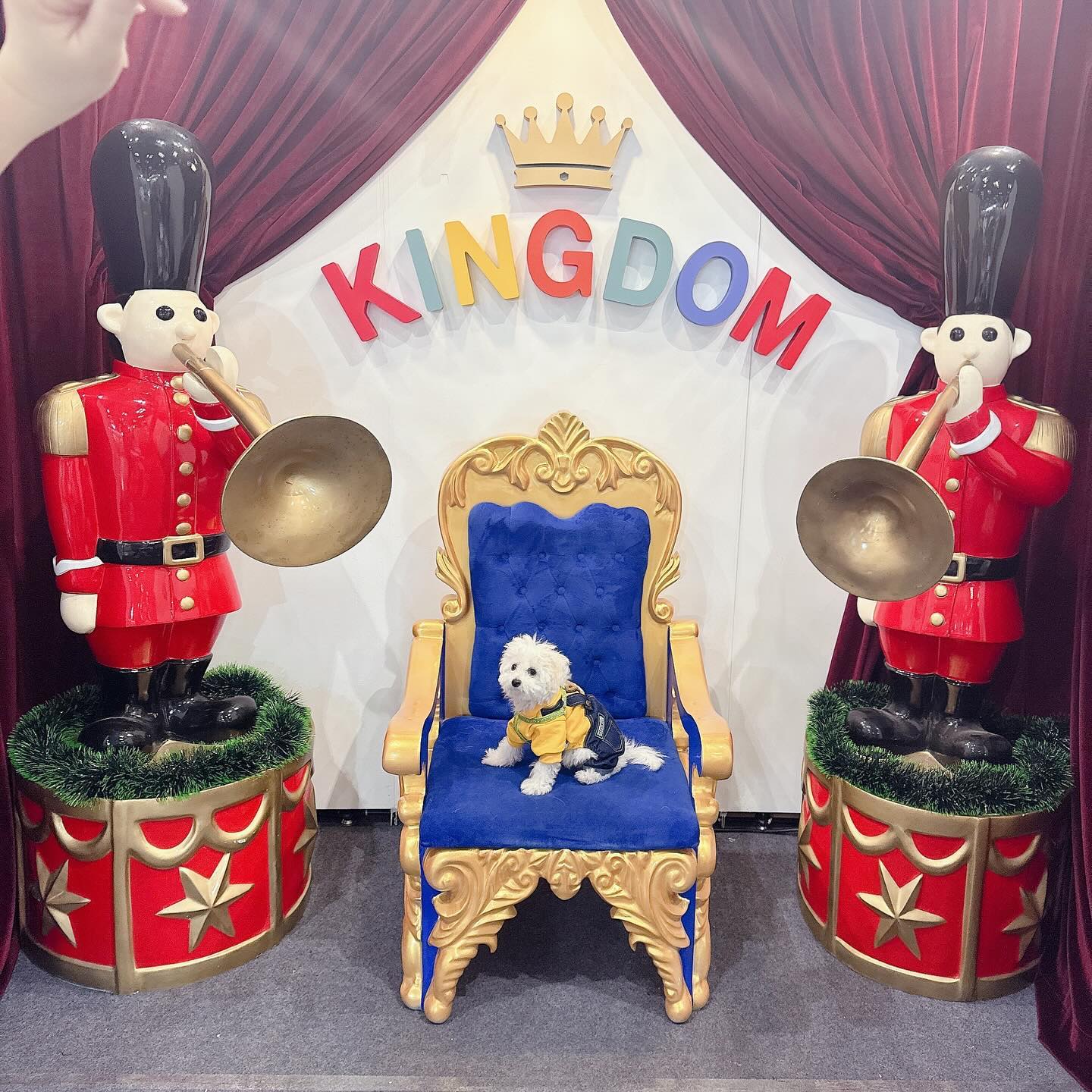 우리 열무와 첫 펫쇼 관람🥹🐶 
가자마자 유모차부터 사고 편안하게 부스투어😍👍 
간식 백개 사가지고 귀가🤗 
아! 금손 꼼스가 유산균 본품을 당첨시켜벌임 
역시 데려간 보람이 있다👍 
#서울펫쇼 #서울펫쇼일산 #일산펫쇼 #펫쇼 #펫페어 #일산애견박람회 #개아들맘