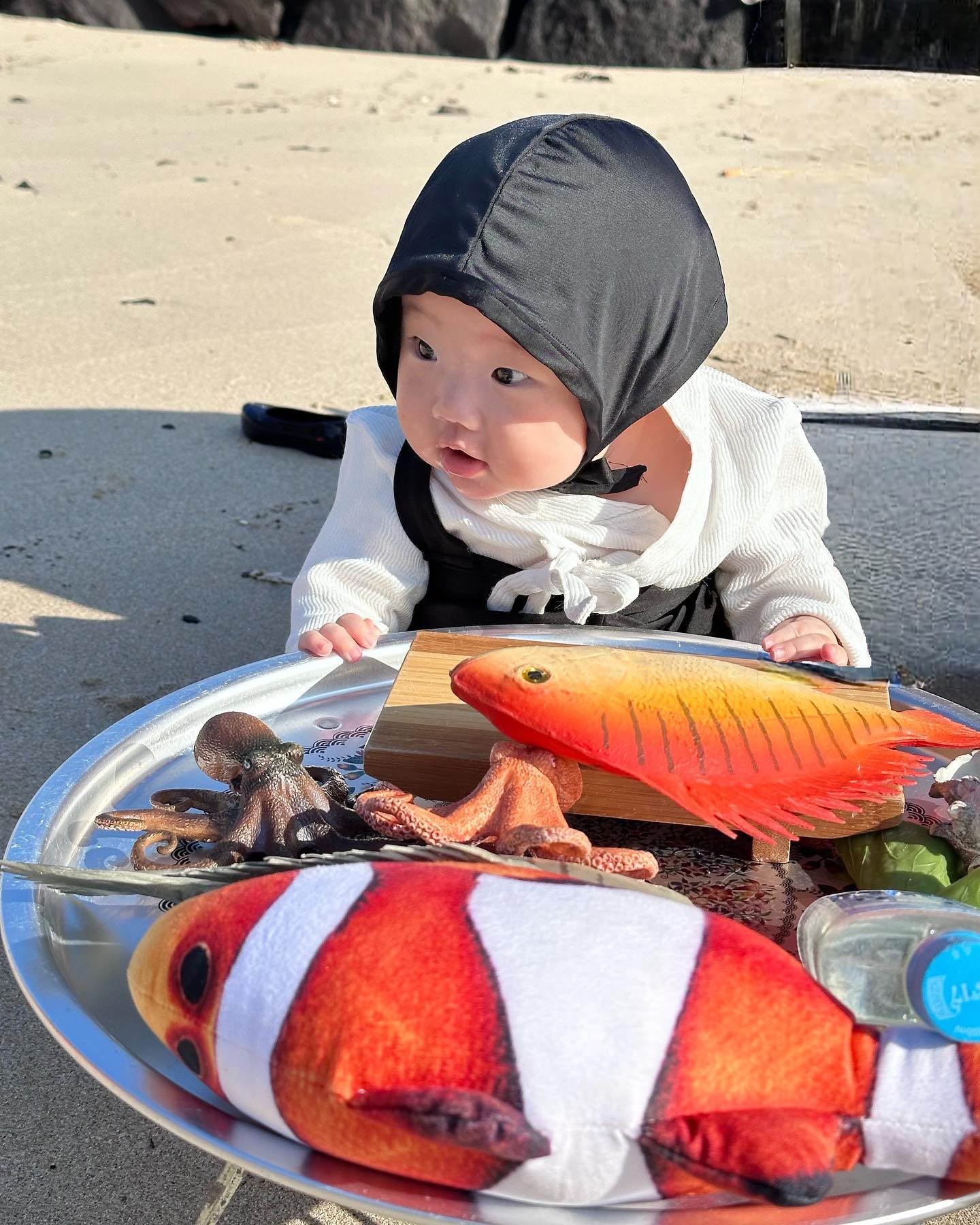 생선사세효~
오늘 새벽 잡아온 싱싱한 생선이 왔어요 🐠🐟🐙

#제주 #아기해녀