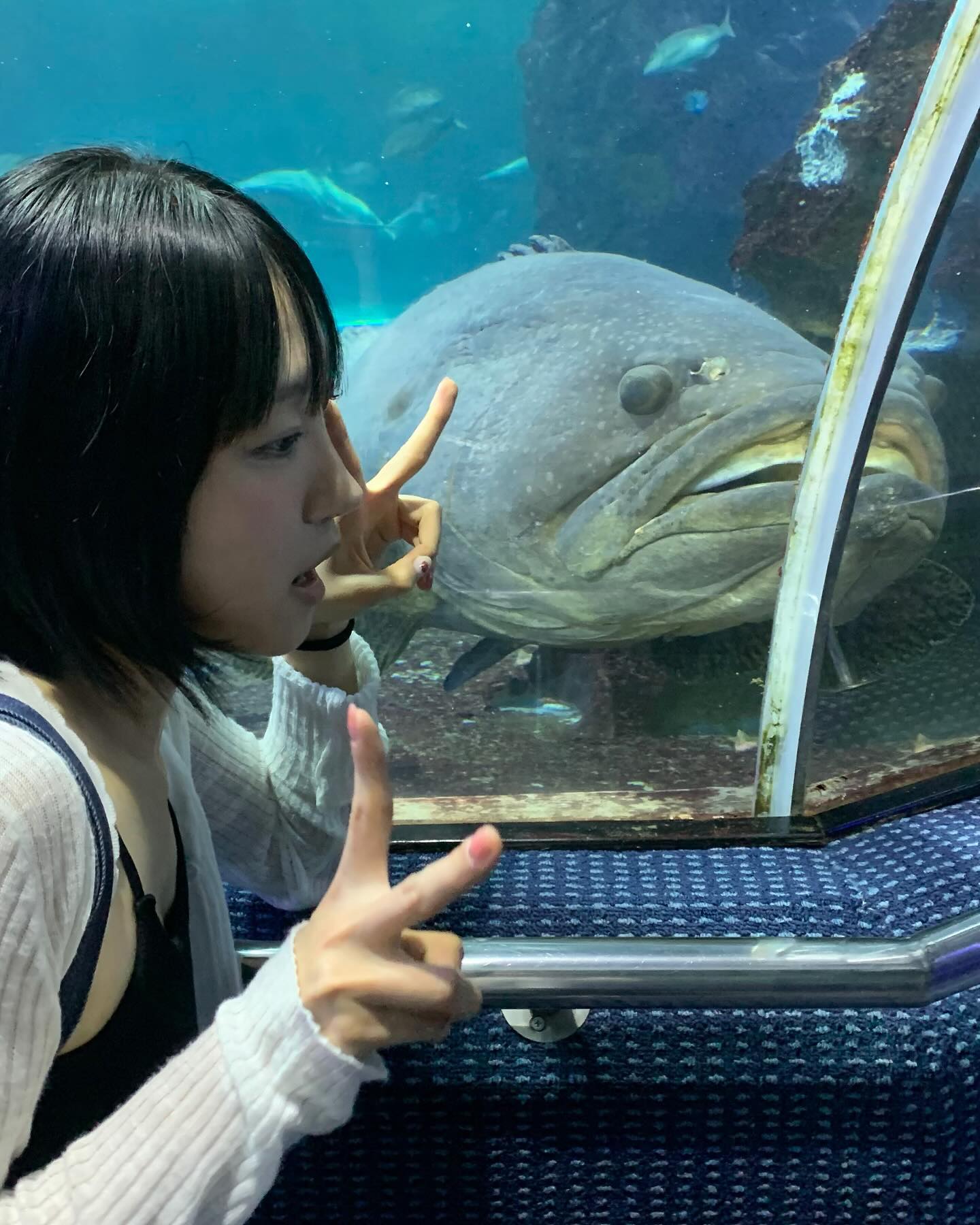 🐠🪼🐬🐋🐡🐳