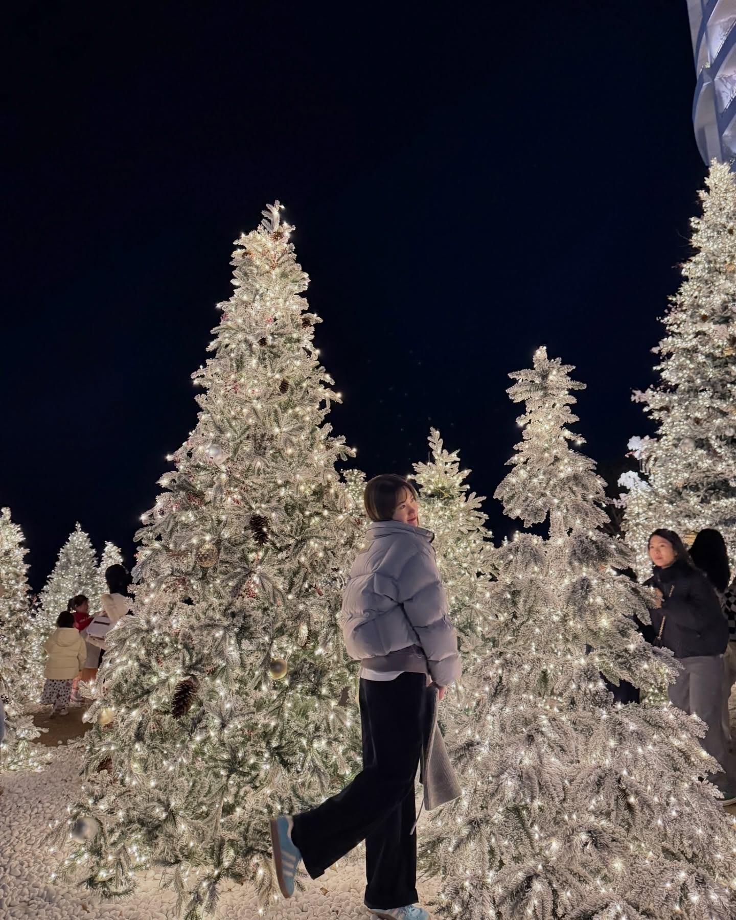 이번쥬가 클쓰마쓰인쥴~~트리잔뜩🎄💚