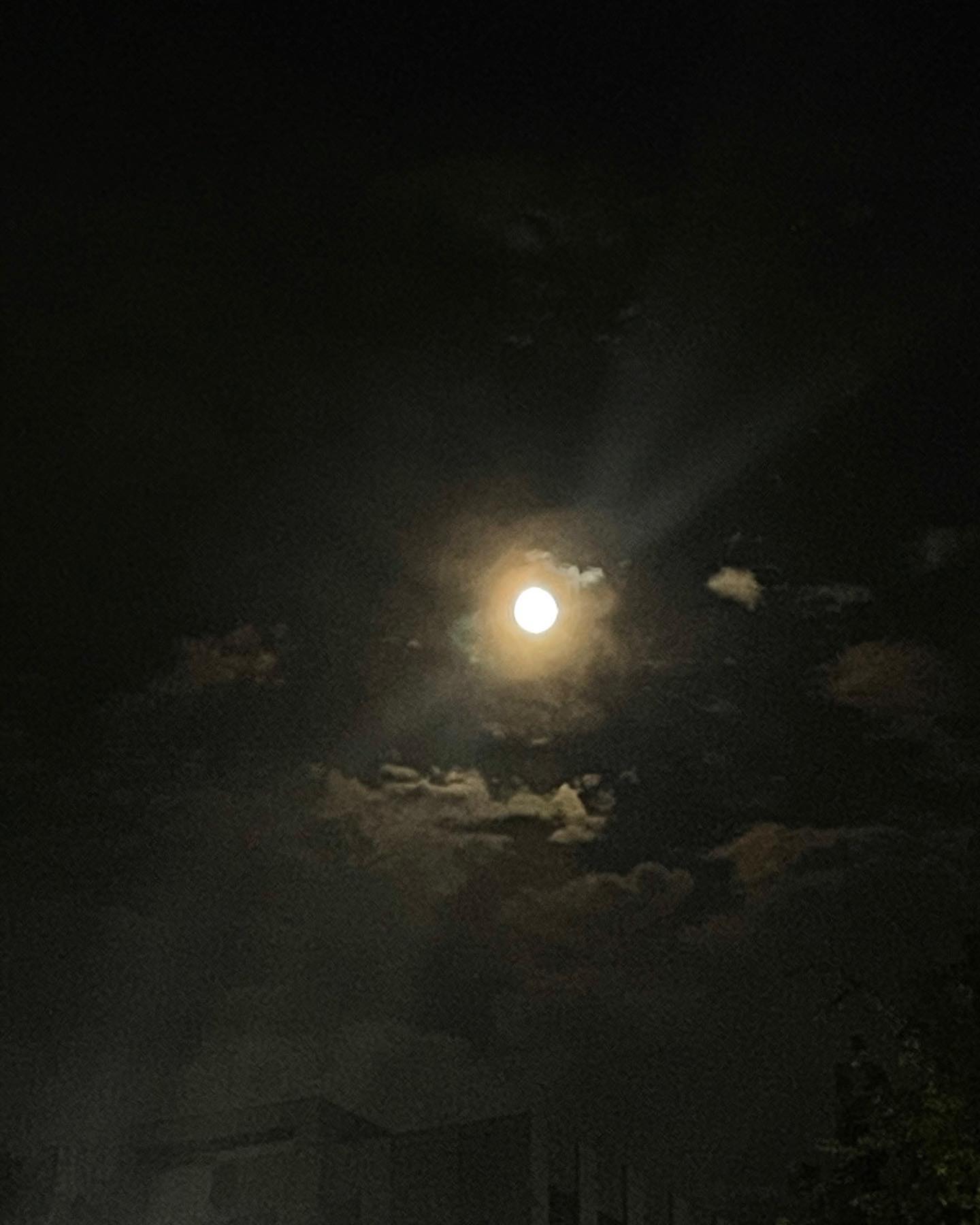 콘텐츠