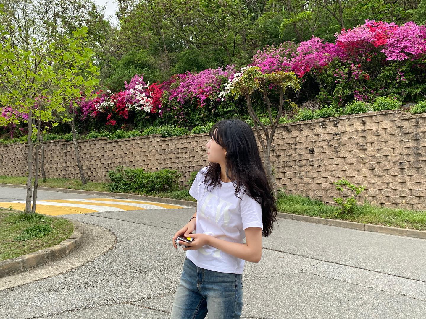 콘텐츠