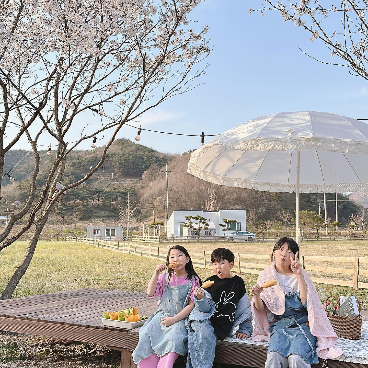 봄날의 캠핑 ✨
⠀
⠀
엄청난 경쟁률을 뚫고 다녀온 캠핑장!
아이들 데리고 가기에 너무 좋다♡
그림 그릴 수 있는 곳과 영화관, 동물먹이, 깡통열차까지👍
가족끼리 오붓하게 가는 캠핑도 좋지만
함께가는 캠핑은 아이들이 더 신나는 듯😆
한자매 누나들 함께해서 행복했엉~🫶🏻
⠀
⠀
⠀
⠀
#캠핑스타그램
#아이랑캠핑
#캠핑장추천
#아이랑가볼만한곳
#아이랑여행하기좋은곳