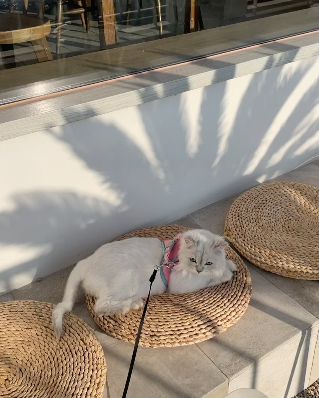 한 순간도 사랑스럽지 않을 때가 없ㅈㅑ나 🥰♥️