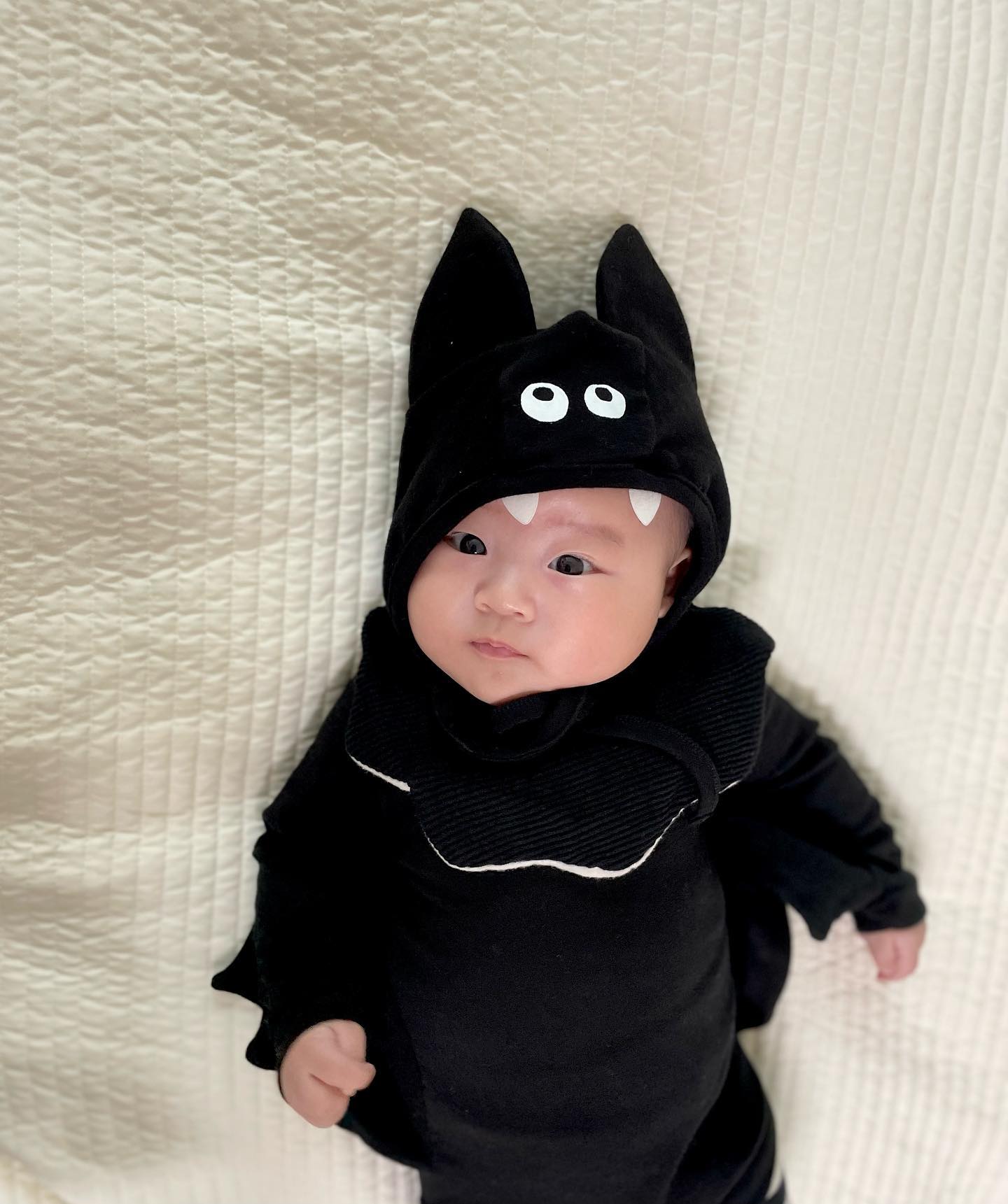 뚱혀니 첫👻할로윈🎃

형아 하원 마중 나가기 전에 푹-! 자9 일어났는데,
🎈알록달록 풍선들 보고 기분 좋은지 눈 똥그랗게 뜨며 요리조리 쳐다보는 모습이 너무 귀여웠다🖤 준비하길 잘했네🤍

#할로윈#할로윈파티#할로윈코스튬#아기박쥐#생후88일