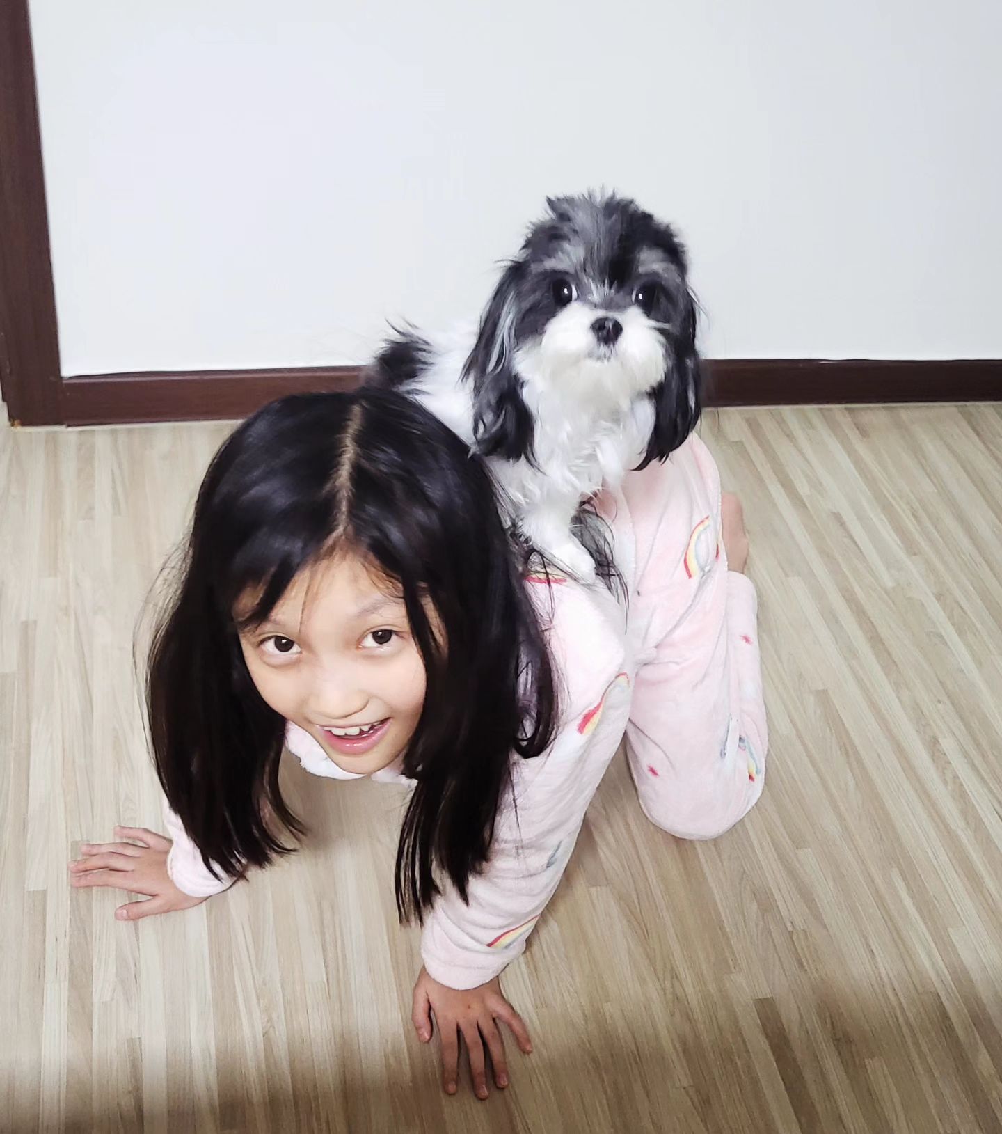 아😮‍💨😮‍💨

저녁밥하는데 뒤에서 깔깔깔 신나하고 노래부르고

뭐하나 보니까 저러구 있다요😱

젖소야 언니등에 타니까 재밌니?

(참고로 저희 강쥐 이름이 젖소임. 직관적 아빠시점)
.
.
#강아지랑놀기
#심심하지않은초딩
#우리강아지젖소
#강아지말태우기
#둘다좋댄다😓