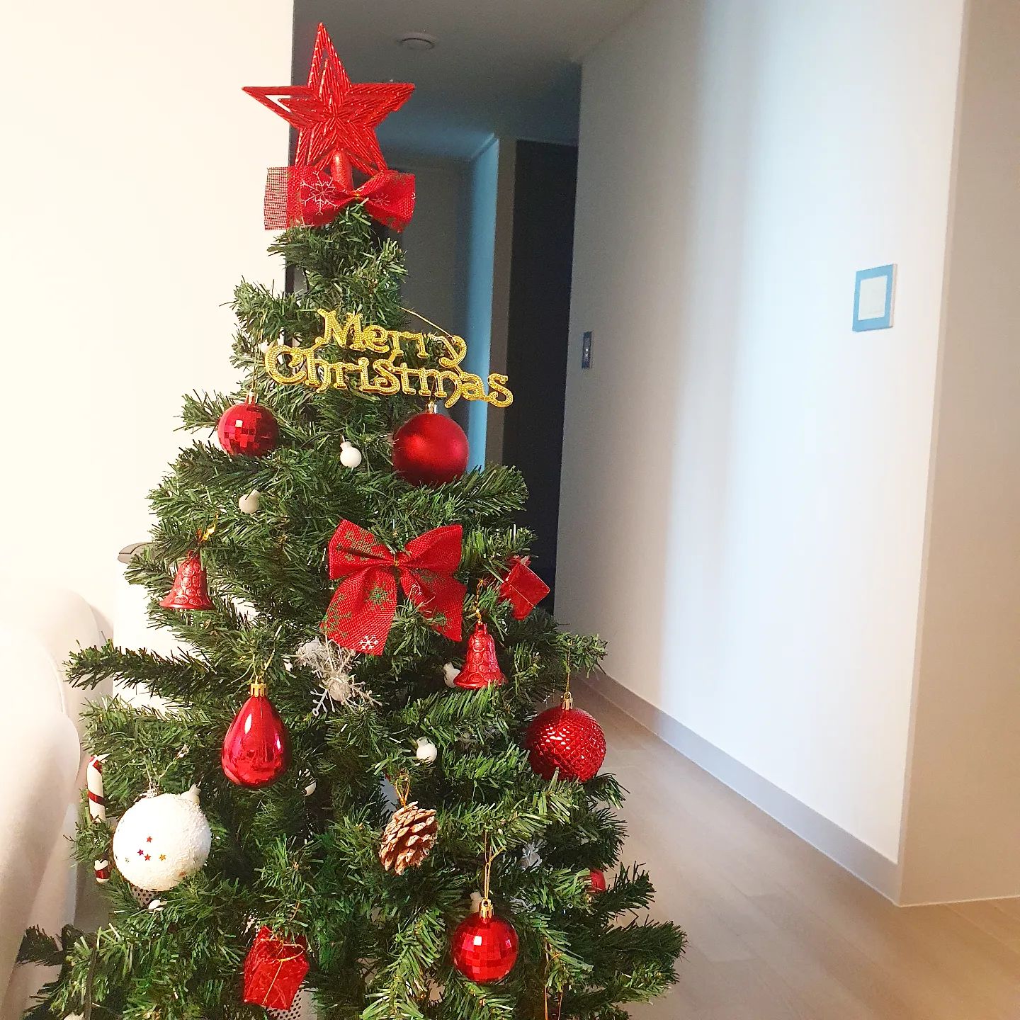 곧 크리스마스니까 🎶
크리스마스 트리 꾸미기 🎄🎄🎄

딸이랑 뚝딱 만들었당!
한달간 블링하게 함께 하자~♡

#메리크리스마스 #트리 #크리스마스트리 #분위기는내고갑시당^^