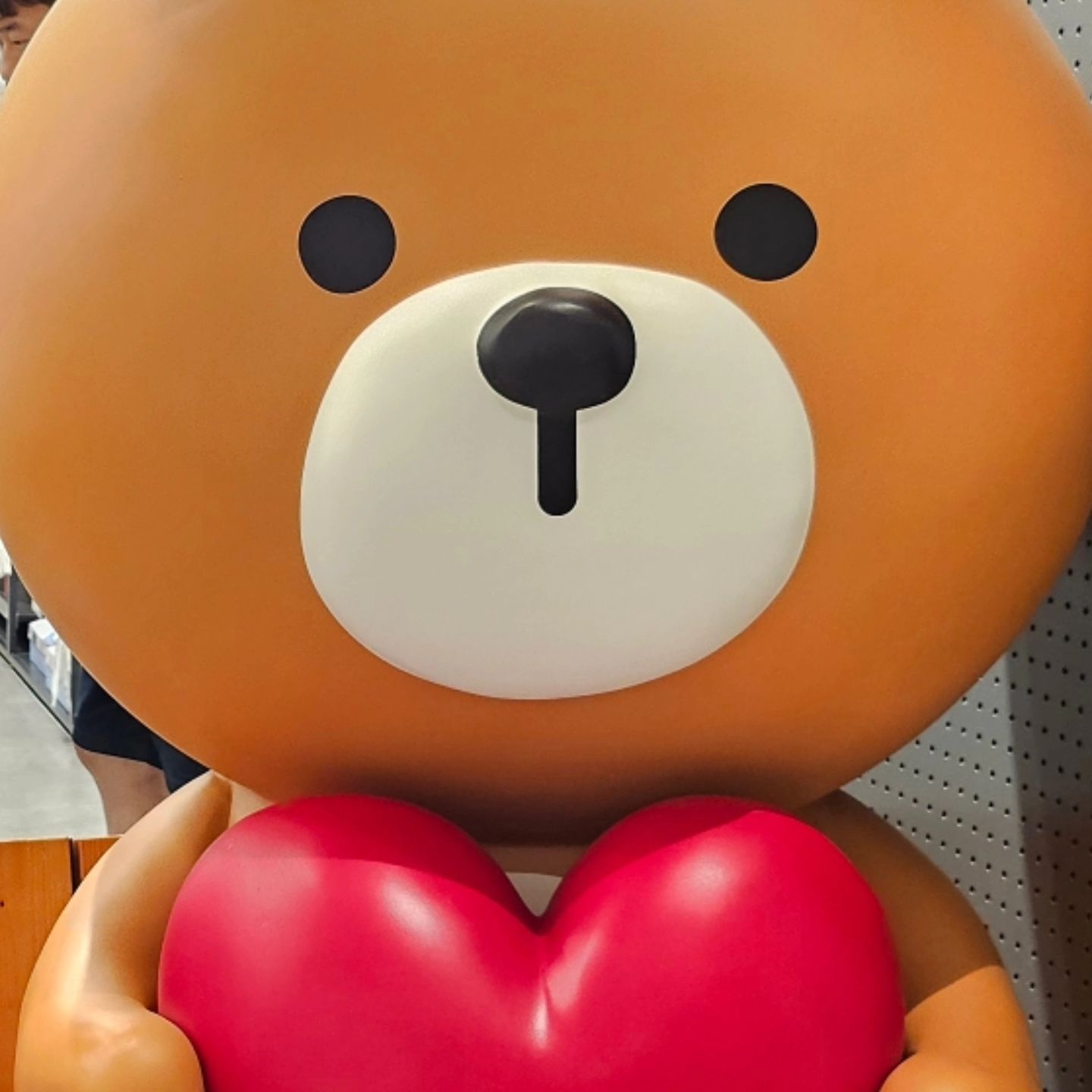 🐻