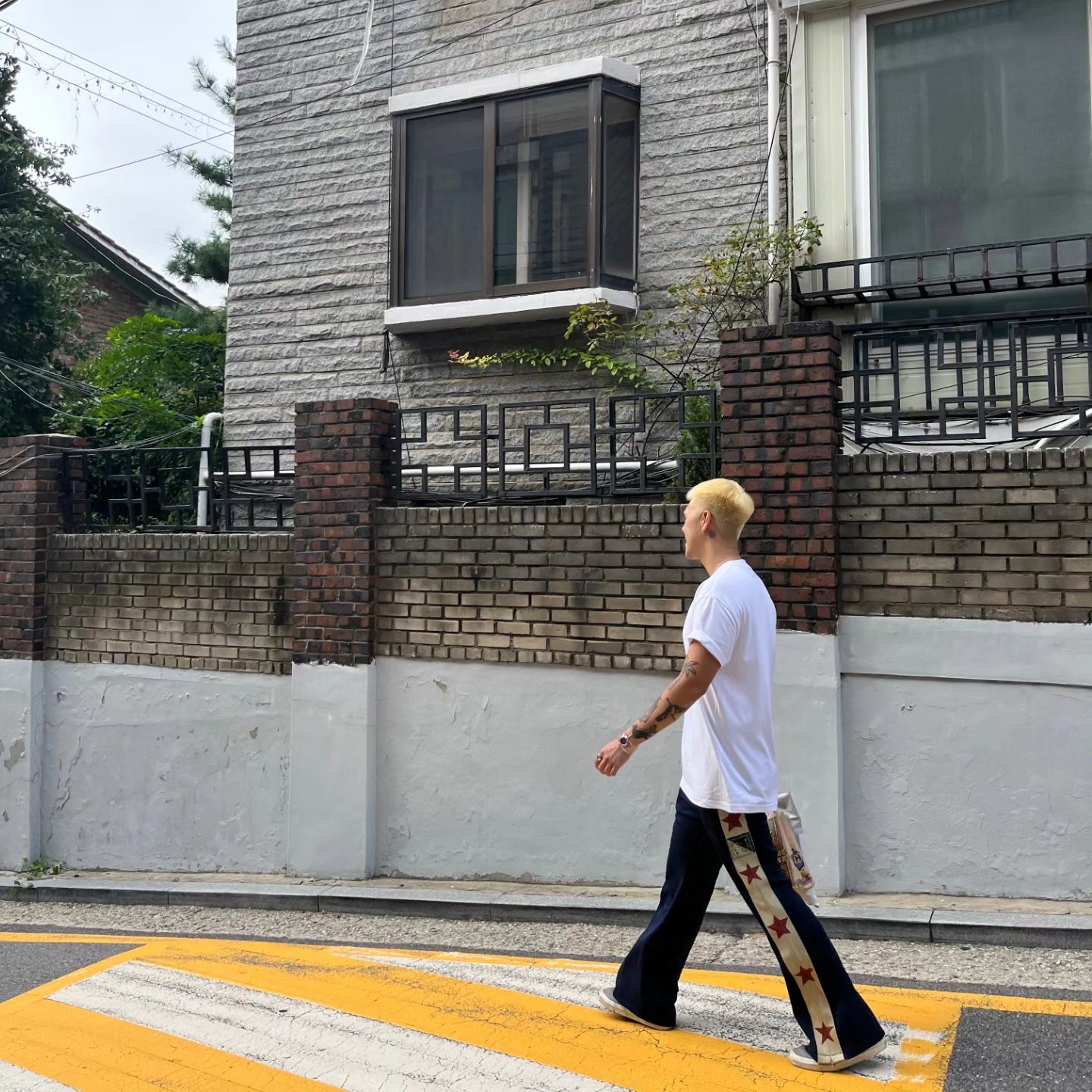 ⭐️
스타뽀-이