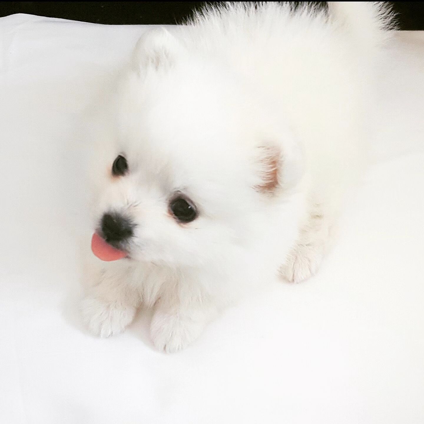 꼬꼬마시절🩷