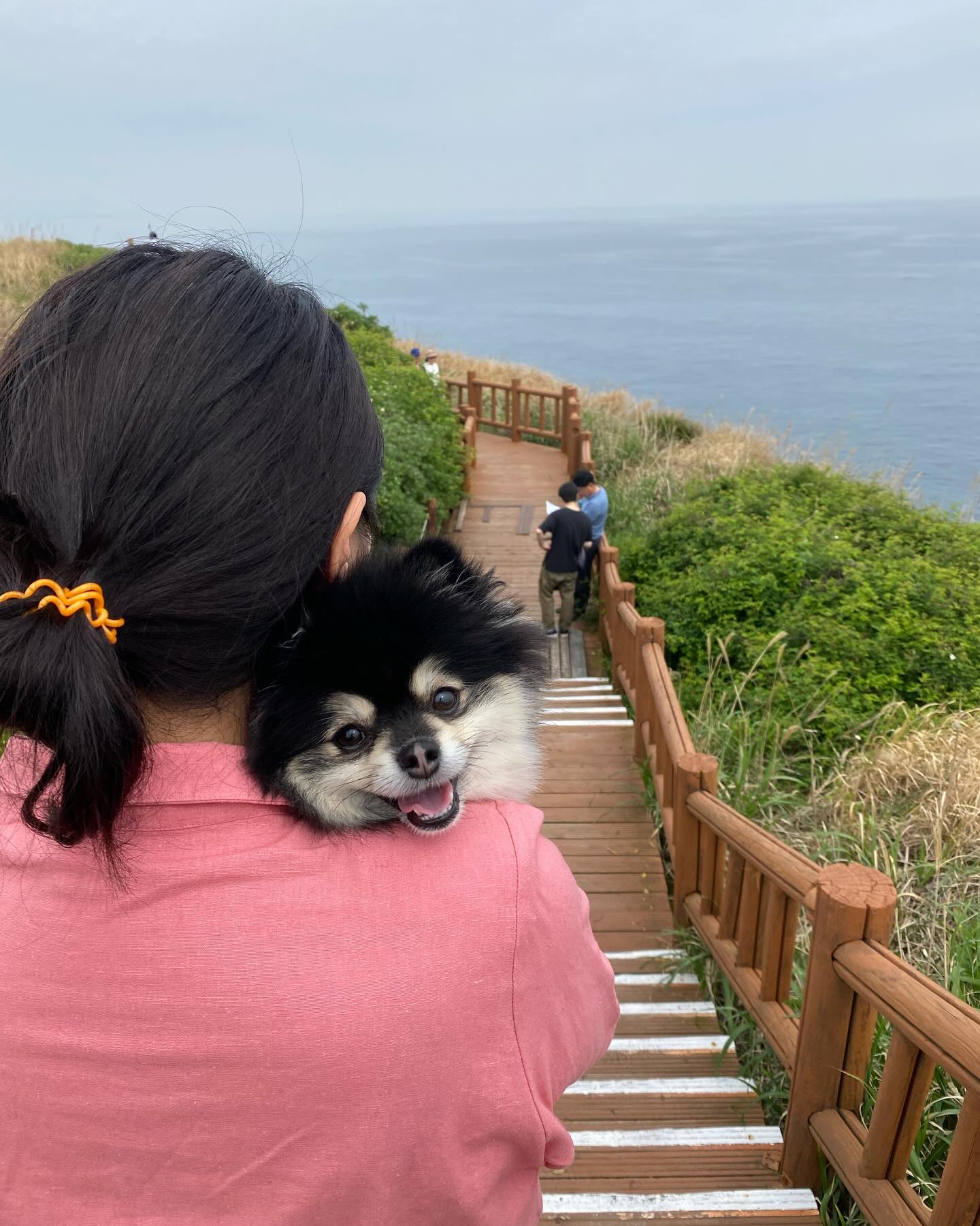 제주 3일차 ✈️

섭지코지 산책하기🌼
가다가 해산물모듬에 감귤막걸리🪸🐡
간장게장 갈치조림 옥돔구이 해물뚝배기 존맛💛😜
저녁은 마농치킨과 모듬회💕
.
.
#제주 #제주도맛집 #제주맛집 #제주공항근처맛집 #섭지코지 #섭지코지맛집 #섭지코지해변 #섭지코지카페 #제주도애견동반 #제주도애견동반식당 #제주도애견동반여행 #제주도애견동반숙소 #제주도애견동반카페 #제주도여행 #제주도여행코스 #제주도여행코스추천
