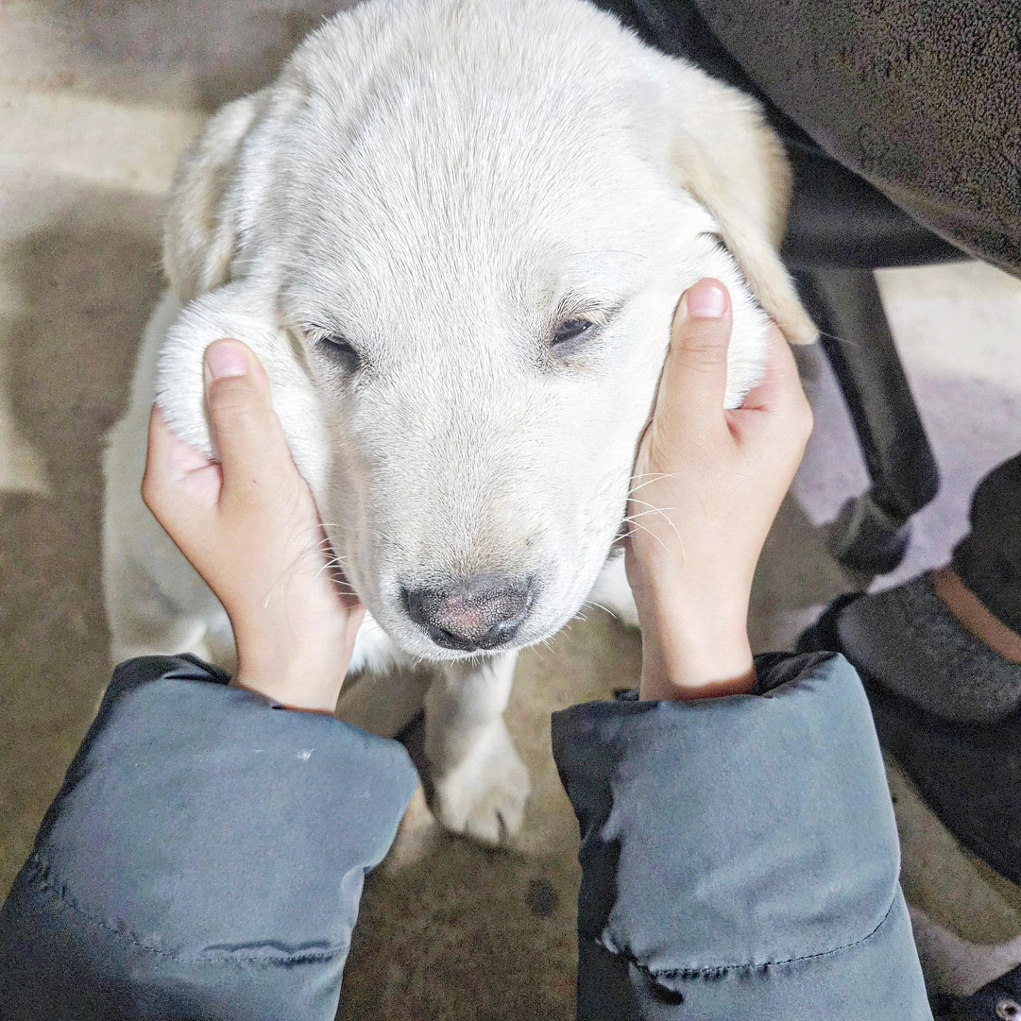 슬기로운 친정생활
날씨 좋을때 여기서 하루 자야겠댱♡♡

#무안#친정#겨울방학