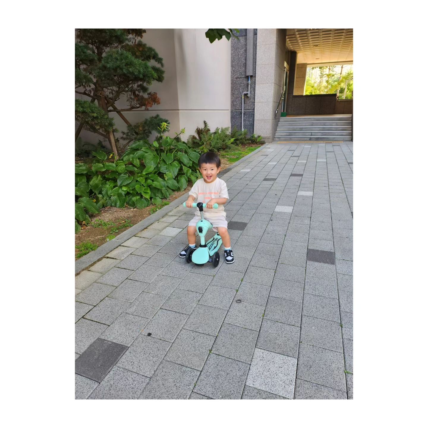 수,목 이틀 얼집 끝나고나서부터 밤 9시정도까지
그분께서 오심🤣🤣🤣
3일 있어봤다고 그냥 바로 따라 나선다ㅋㅋㅋ
고작 네시간에서 네시간반정도인데
하루 온종일 같이 있던것같은 느낌
말을 안듣는정도가 아니고, 그냥 말이 안들림!
안보임! 와~~~진짜!!
그래도  하나뿐인 조카라 그런지 이쁜걸 우째...
40이 넘어서 영혼을 불싸르는중
정~말 오랜만에 만드는 #유아식
뭘해주던 잘먹어주니 그역시 이쁘고
내내 징징대거나 울지 않아서 다행이고
그렇게 잘 놀다가 잘가니 고맙고 그렇다
첫날저녁 #아기카레#애호박전#감자채볶음
#오리훈제#아기깍두기
둘째날저녁 #깍두기볶음밥#오니기리
#브로콜리치킨스튜#세송이버터구이#꿔바로우
매번 양조절 실패로 #잔반을 처리해야 되지만
잘먹으니 자꾸 해주게 된다는
#조카스타그램#백만돌이#말안들음#이쁜아기