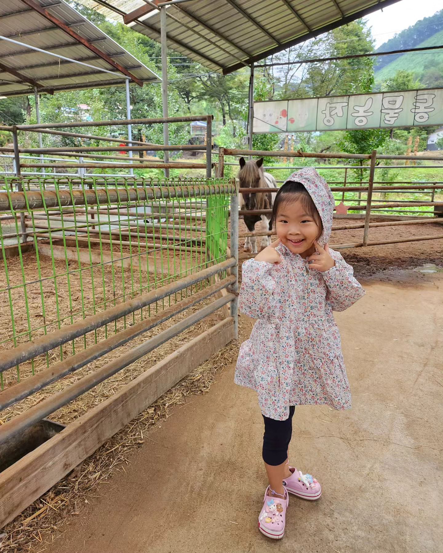 .
비가 오긴 했지만
힐링되던 어느 주말
.
.
#20230916🐿️ 
#충주캠핑장🏕
