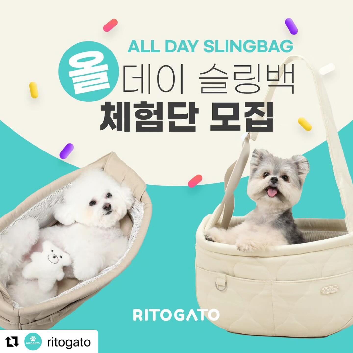 #Repost ritogato with use.repost
・・・
🌟리토가토 올데이 슬링백🌟
체험해주고, 생생한 후기 알려주실 네발친구들을 찾습니다❤️

편리하고 실용적인 가방 맛집 리토가토
토토백, 루나슬링백, 보들리앞가방에 이어
6번째 가방라인 신제품 
❤️'올데이 슬링백'❤️을 출시했습니다.

이름처럼, 가볍고 편안하고 실용적이어서
올데이~ 에브리데이~ 언제나 함께 외출 할 수 있는
휘뚜루 마뚜루 외출이 편안한 가방을 소개합니다.

✔️리토가토가 고집하는 가방의 3가지 원칙!
이번에도 해냈어요✌️
1. 가벼워야 한다
2. 세탁이 편해야 한다.
3. 밑면, 옆면 쳐짐없이 탄탄해야 한다
반려동물들도, 보호자님도 편안한건 기본이고요😄

✔️올데이 슬링백은 원단이 또 일냈습니다!
보드라우면서도 쫀쫀한 순면의 촉감이
사진에 담기지 않아서..조금 슬프지만 ㅎㅎ
아이들 가방만큼은 순면을 고집하면서도, 
오래 사용해도 변함없는 내구성을 동시에 잡았죠 ✌️

🌱 550g의 초 경량 가방
🌱 대중교통 및 항공기내탑승 OK
🌱 밑판분리 후 세탁기에 휭휭 돌리기 OK
🌱 바닥 쳐짐없고 옆면 무너짐없는 탄탄함
🌱 누빔 면 원단으로 내구성과 보드라운 순면의 장점을 그대로
🌱 빼꼼 옆 사이드창으로 편리성 UP
🌱 일체형 망사의 높이가 UP 스타일이어서 
  아이들이 답답해하지 않아요
🌱 안전고리 탈부착으로 다둥이도 가능
🌱 도톰한 어깨라인으로 보호자도 편안한
🌱 안쪽 주머니, 보냉백보관가능으로 4계절 내내♡

❤️ 체험단 지원방법 ❤️
1. ritogato 공식계정 팔로우
2. 본 게시물 좋아요 꾹꾹
3. 본 게시물 리그램하기
4. 댓글로 4가지 색상 중 원픽 적어주기
 (핑크, 크림, 베이지, 카키)

❤️ 모집인원 ❤️
총 10명! 열 분을 모십니다.
- 6킬로 미만 반려친구들 기준 -

❤️ 체험단 혜택 ❤️
- 올데이 슬링백(색상,사이즈 선택가능)
- 까꿍쿠션
- 아크릴 네임택 키링

❤️ 모집기간 ❤️
1월2일~7일 (6일 간)

❤️ 선정자 발표 ❤️
1월 9일(화) 
- 개별 DM으로 연락
- 인스타 게시물로 공지

❤️ 선정기준 ❤️
- 팔로워 수를 보지 않습니다.
- 댕댕이,야옹이 모두 환영합니다.
- 아가들과 함께한 따뜻한 사진이 많은 계정을 사랑합니다.
- 아가들과 함께한 일상을 많이 공유한 계정을 사랑합니다.
- 비공개계정은 자동으로 제외됩니다.
- 소문내기의 달인처럼 보이시는 분
- 6킬로 미만 친구들

🌟체험단으로 선정되시면!!🌟
올데이 슬링백을 착용하시고
함께 편안한 외출을 하신 일상 사진과 영상을 공유해주셔야 해요
사진과 영상은 올데이 슬링백의 소중한 '마케팅 자료'로 사용될 수 있음을 미리 공지드립니다.

많은 참여 바랍니다❤️

#올데이슬링백
#리토가토 #신제품출시