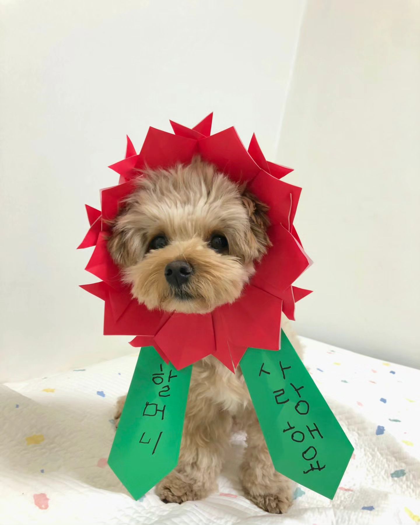 사랑해 이룽지❤️