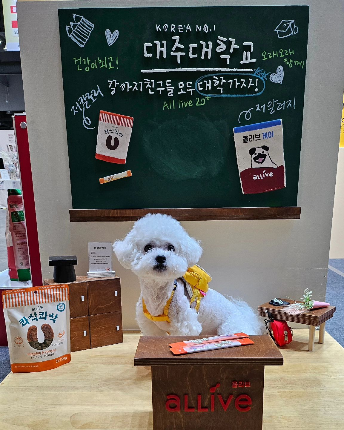 #케이펫페어 #대주펫푸드 #올리브사료

daejoopetfoods_official