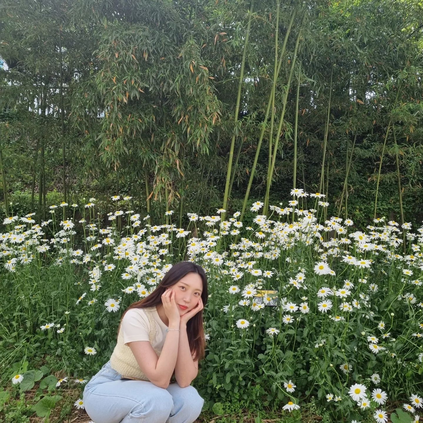 계란 후라이 같은 데이지🌼💛