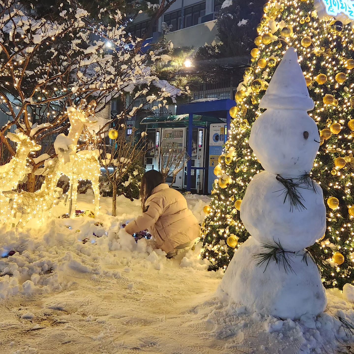 ❄