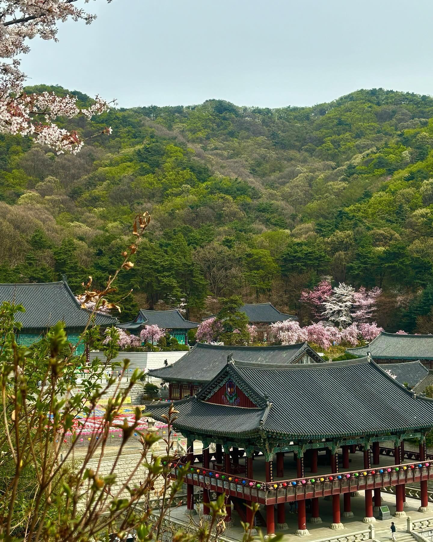 유줌마 감성 어떤데🌳🌸📿
