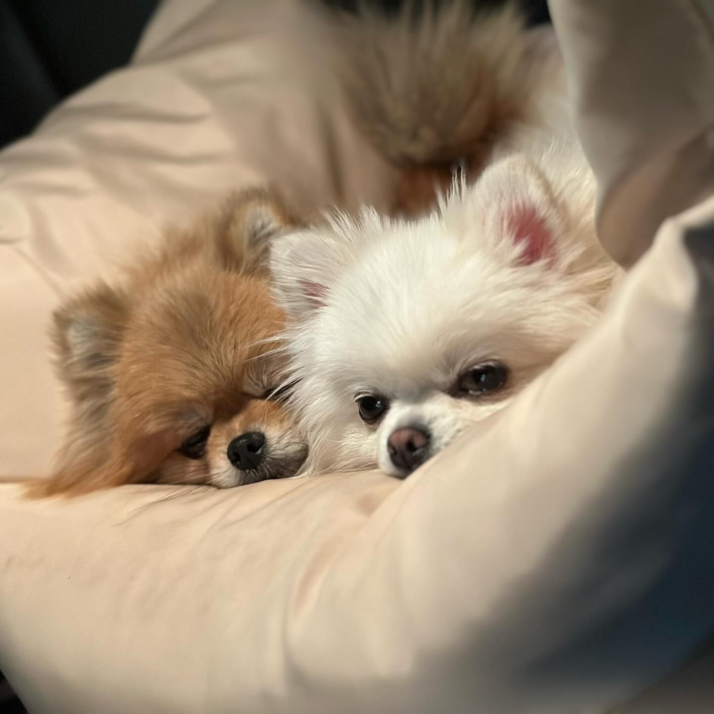 으흐흐 귀여워 ❤️🥰