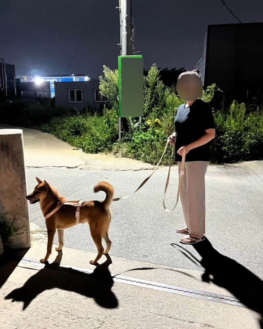 #협찬
당장 노노브라티 7장 결제 갈겨.ᐟ 
안 그래도 더운데 멈머 산책까지 하면 땀이 어마어마ㅠ_ㅠ
아무리 야밤 산책이라도 안 입긴 좀 그랬는데 노노브라 반팔티는 캡이 내장돼있어서 시원하고 편하당 |ૂ•ᴗ•⸝⸝) 
40수라 부드러워서 착용감도 좋고 너무 허벌레하지 않아서 자주 빨더라도 금방 늘어날 것 같진 않다. 무엇보다도 캡 부분 마감이 좋아서 살이 쓸리거나 간지럽지 않음!
소프트캡인데 적당히 넓어서 작은 사람부터 웬만큼 큰 사람까지 충분히 커버할 수 있을 것 같음:)

thinkeco_official
#노브라티 #노브라티셔츠 #노브라 #노브라티추천 #브라티셔츠 #캡내장티셔츠 #노브라반팔티 #강아지산책 #반려견산책