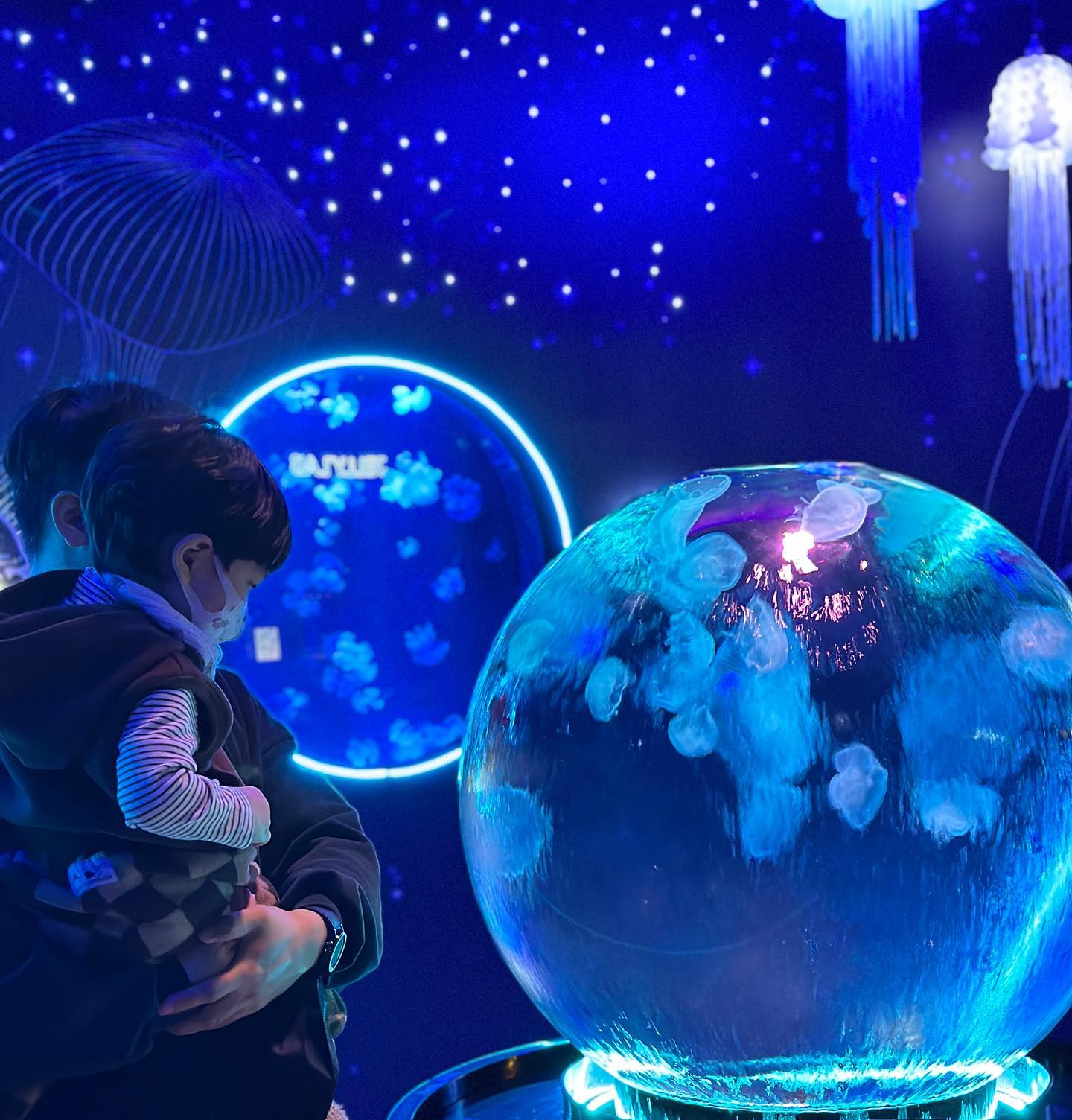 n번째 아쿠아리움 🐟🐠🐡🦈🦦🐢🩵