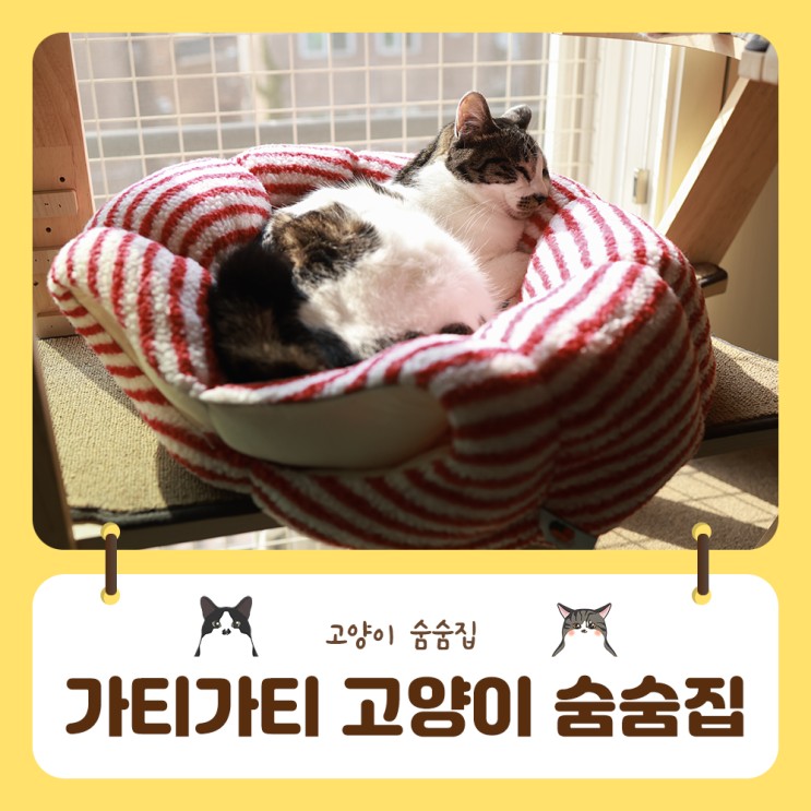 가티가티 고양이 숨숨집 하나로 두가지 기능을 한번에!!