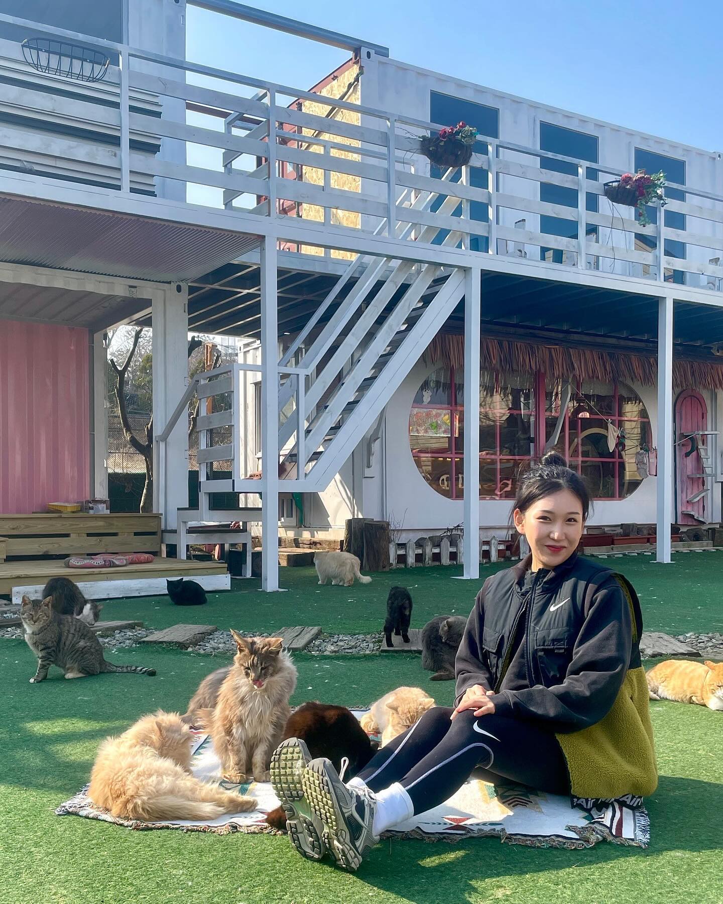 전부터 꼭 와보고 싶었던 고양이역🐱💗
사료도 기부하고 왔다,,( ✌︎'ω')✌︎
버림받은 아가들이라기엔 다들 애교쟁이에 이쁘기만하구
아가들아 건강해 다음에 또 올게 🖤🖤🖤
#고양이역 #고양이보호소 718cat