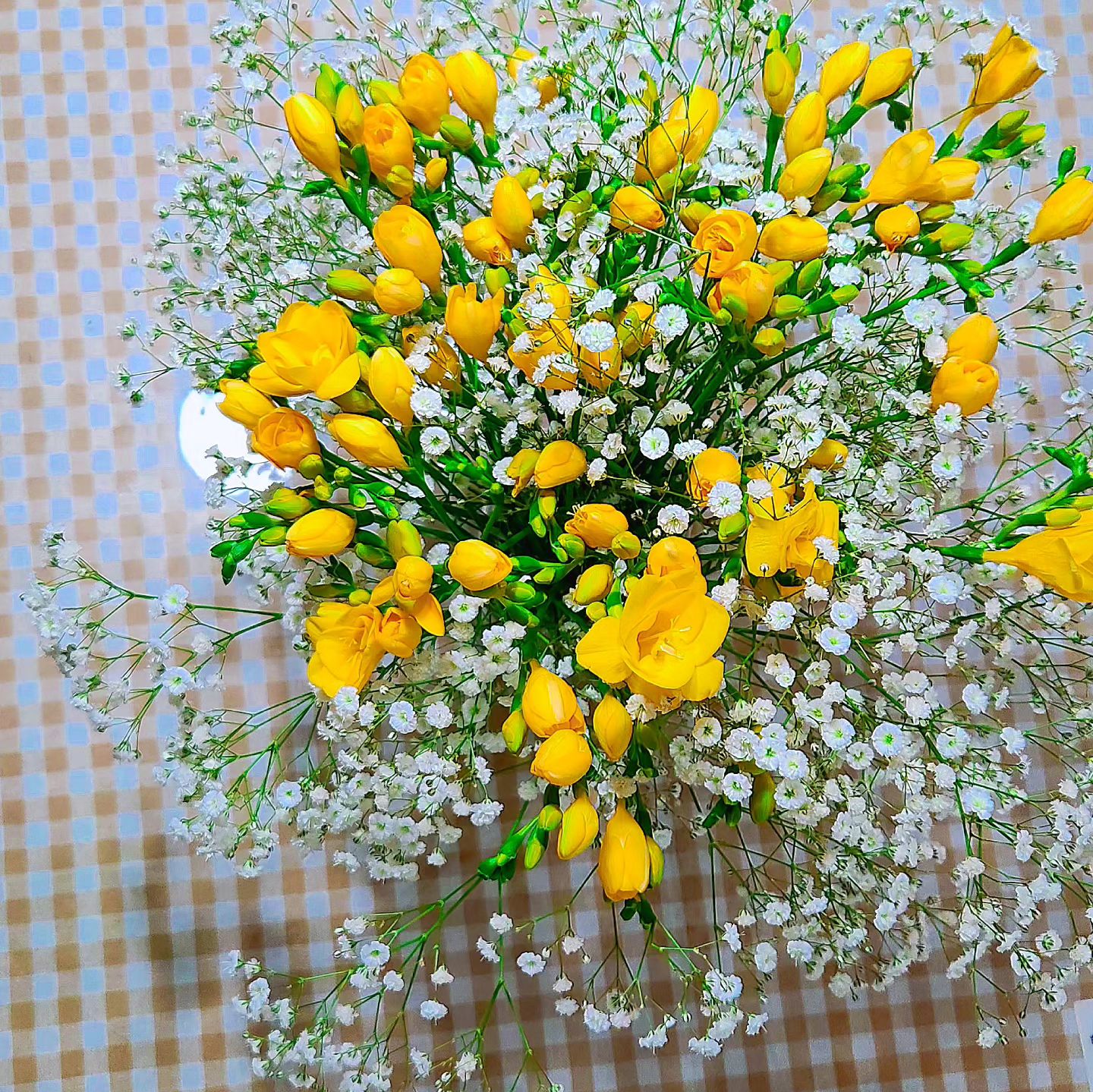 선물받은 꽃다발 💐
가슴이 두근두근 
.
.
나대는마음 . ....
꽃멍. .... 😍
.
.
#꽃다발 #flower #꽃멍 #nature #힐링 #beautiful #꽃선물 #일상
#프리지아꽃다발 #yellow #노랑 #안개꽃