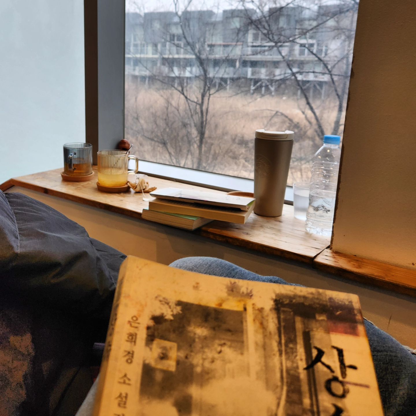 창 밖 눈비. 은희경. 내가 좋아하는 오늘 같은 날씨의 파주