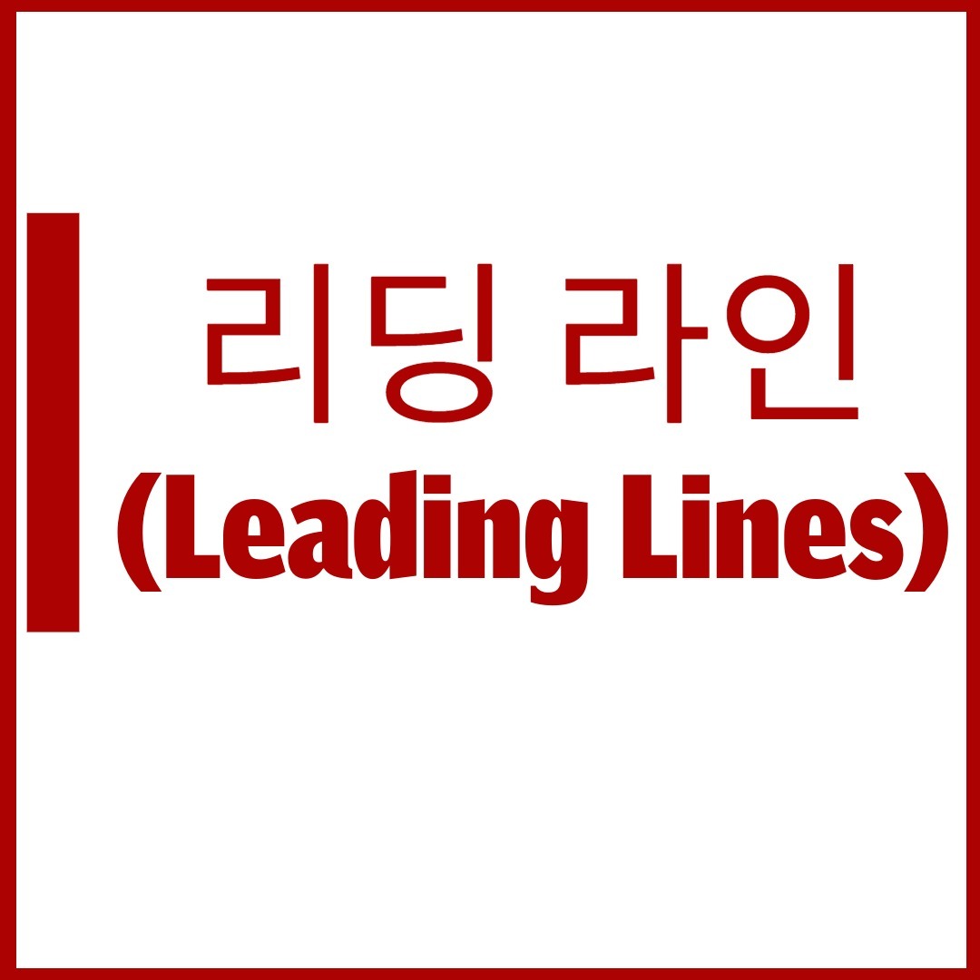 In the photo, the 'Leading Lines' is one of the important factors when constructing the composition.

 The reading line is the line in the picture and guides the viewer's gaze to the picture's main object or center point. 

These lines can take many forms, such as straight lines, curves, and diagonal lines, adding depth to the picture and helping to create a visual flow.

Source of data:
https://fixthephoto.com/leading-lines-photography.html

#photography #LeadingLines #picture #photo