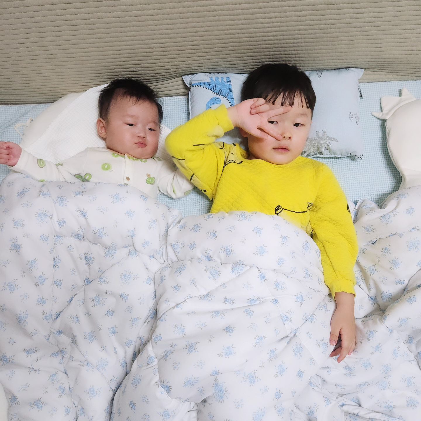 동생들 자기가 재울꺼라더니 젤 먼저잠듬ㅋㅋㅋㅋㅋㅋㅋ

#동생바보
#우리집큰아들 #첫째는사랑이야
#우리집1등