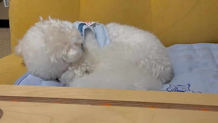 에어컨 바람 추우 ㅓ,,꽁꽁🐰