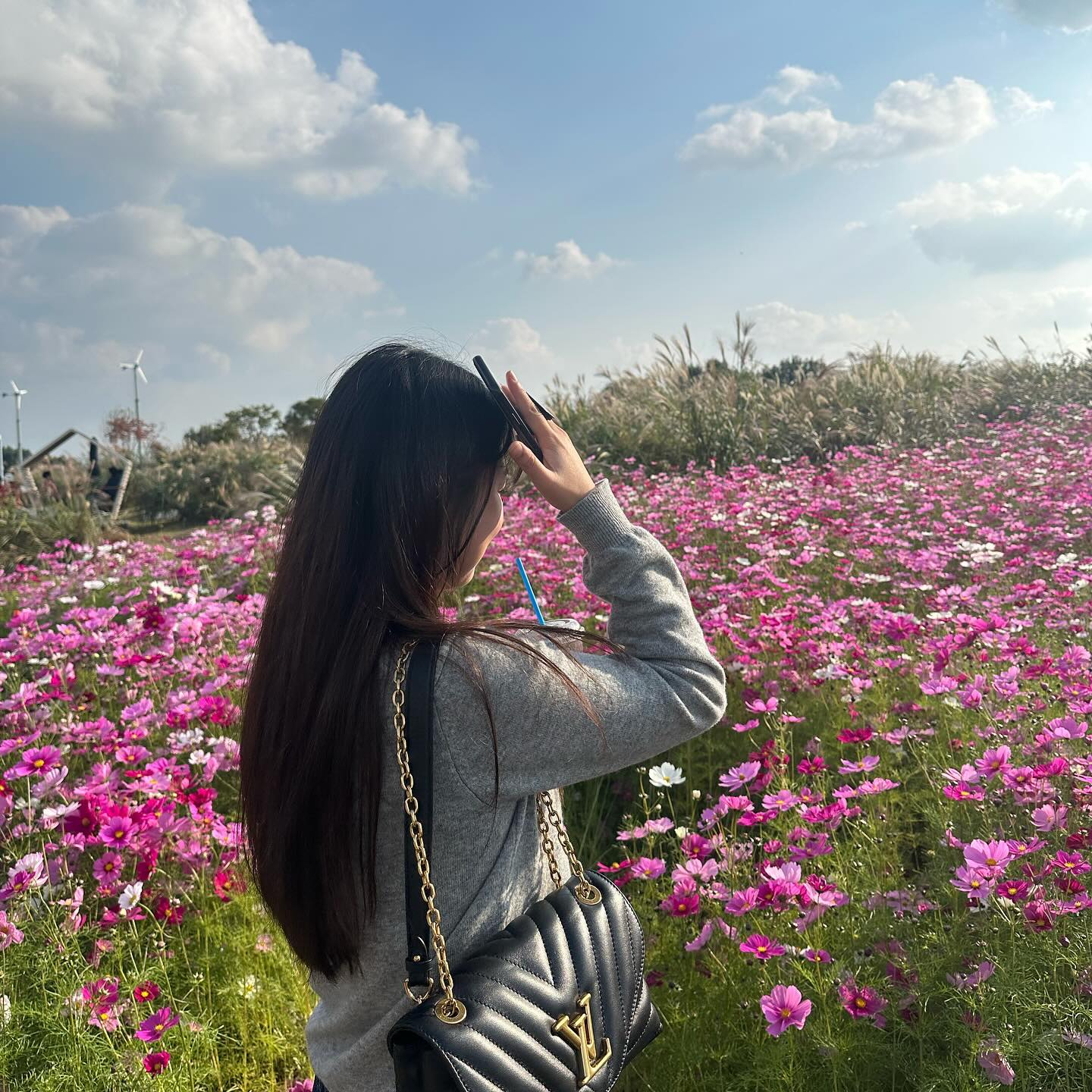 가을에 다녀왔던 억새축제🌾
지금은 벌써 겨울이네오 ㅠㅠ 
시간이 제일 안가는 수요일.. 화이티잉🤎