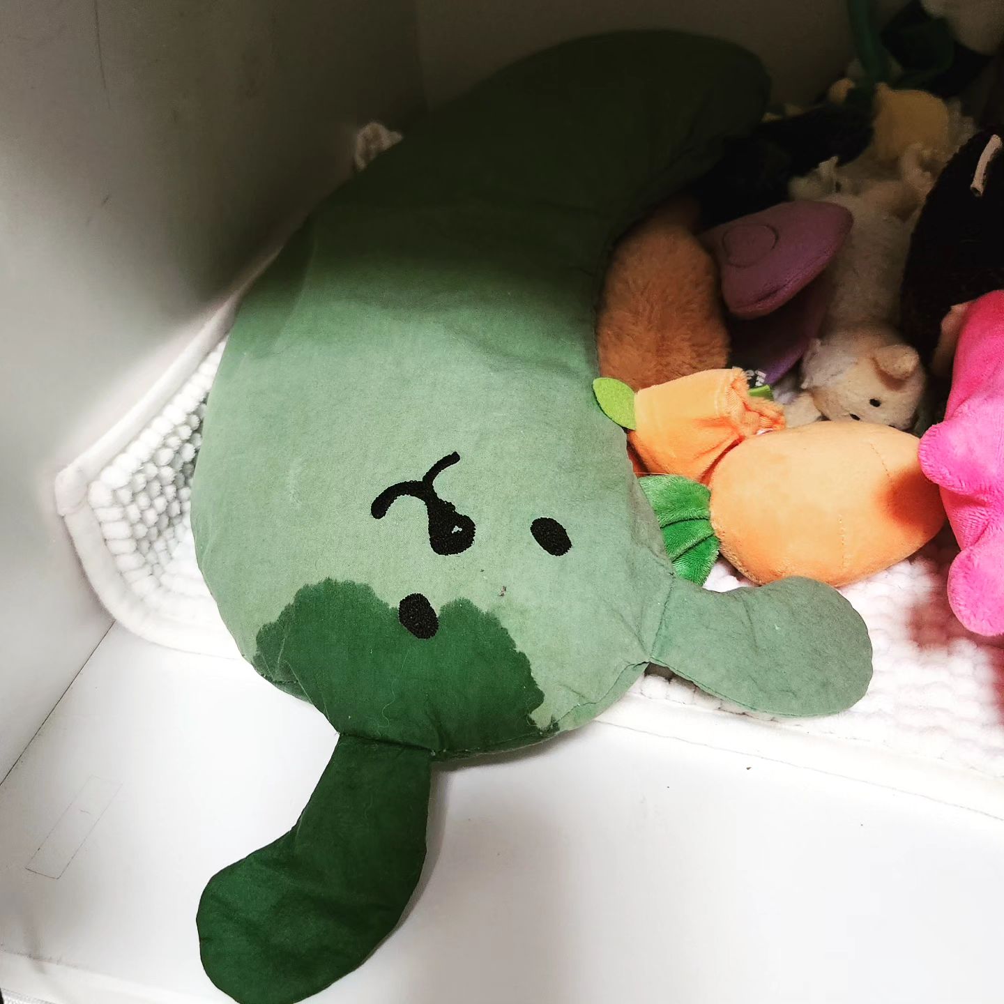 배추형아가 베개얼마나 애끼는데
😮‍💨
둘찌 너 그러다가 진짜 쫓겨나..😔