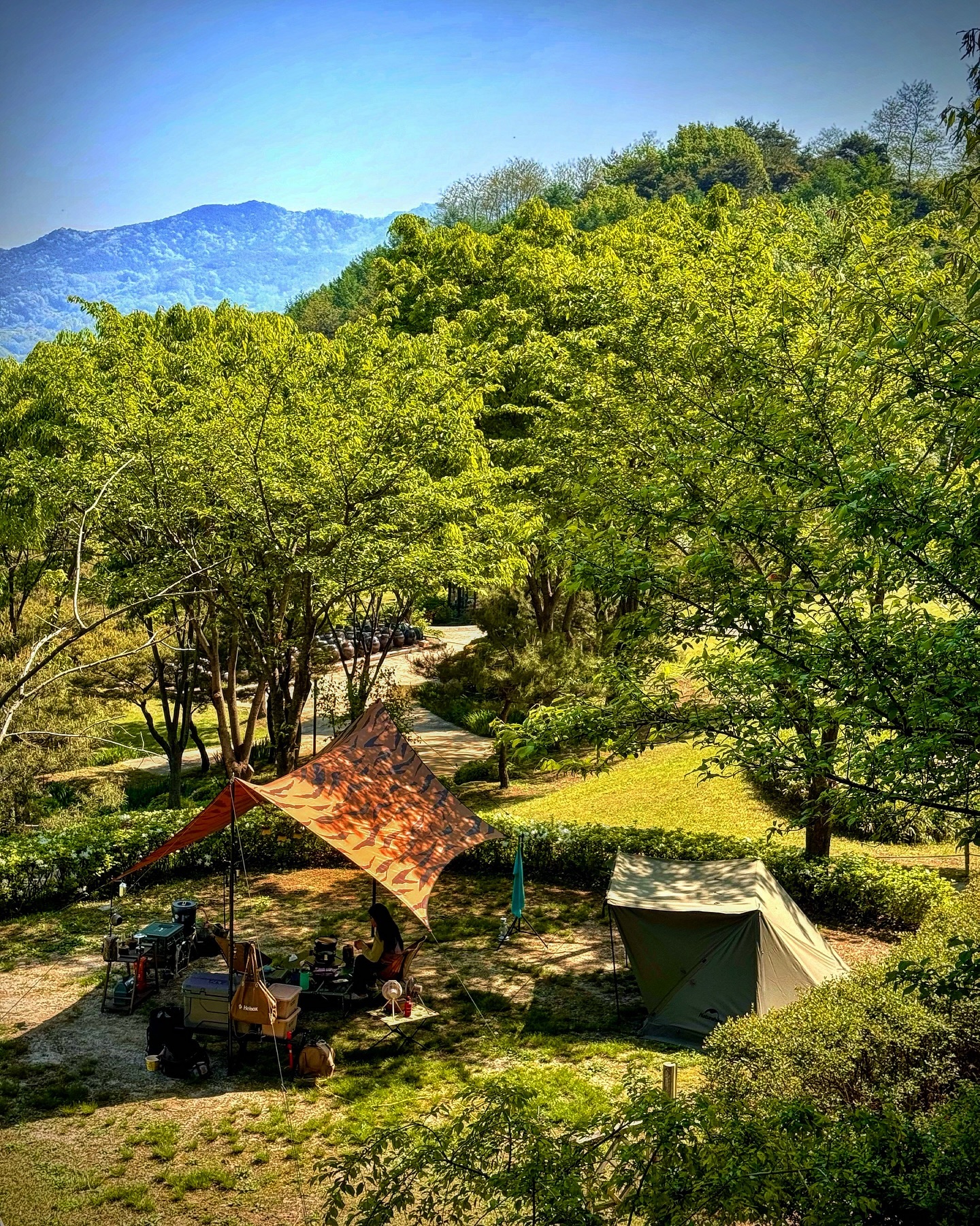 .
여름느낌 물씬났던 주말 💚
사진엔 점처럼 저혼자있지만,

제가 아주 좋아하고 오랜사이인 사람들과
조금은 힘들지만 배로 행복한 캠핑하고 왔지요 🩵