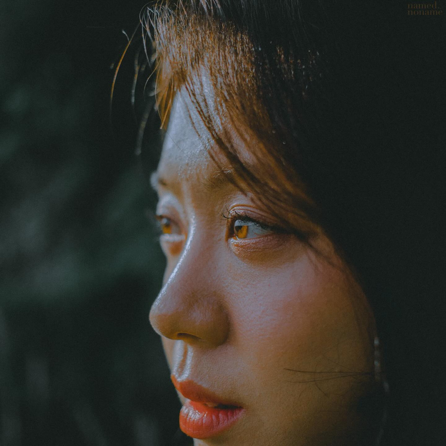 콘텐츠