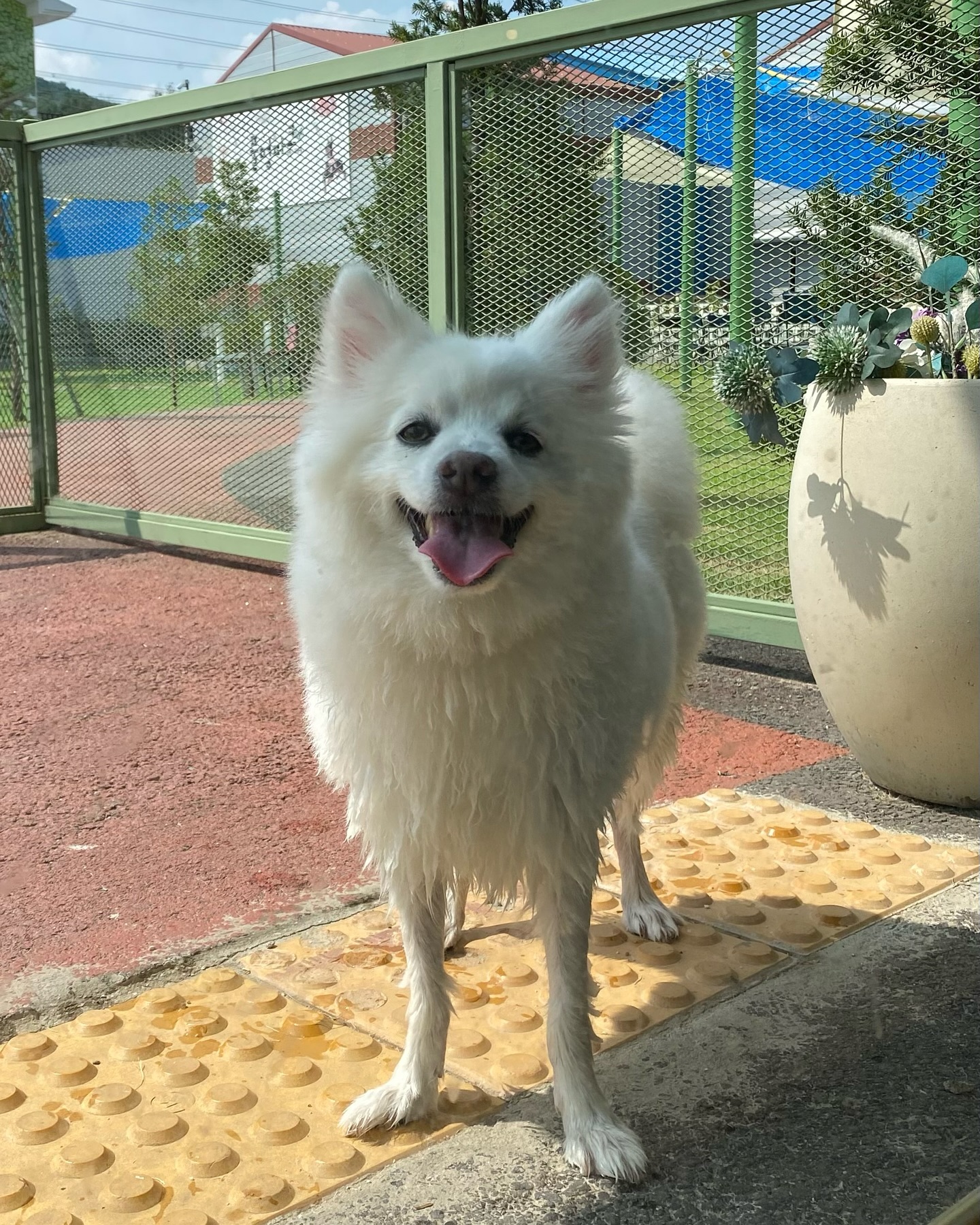 알고보면 롱다리인 이석봉🦙